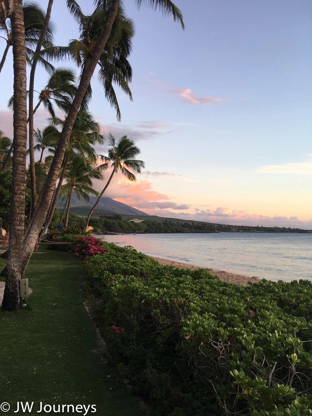 Drums of the Pacific view