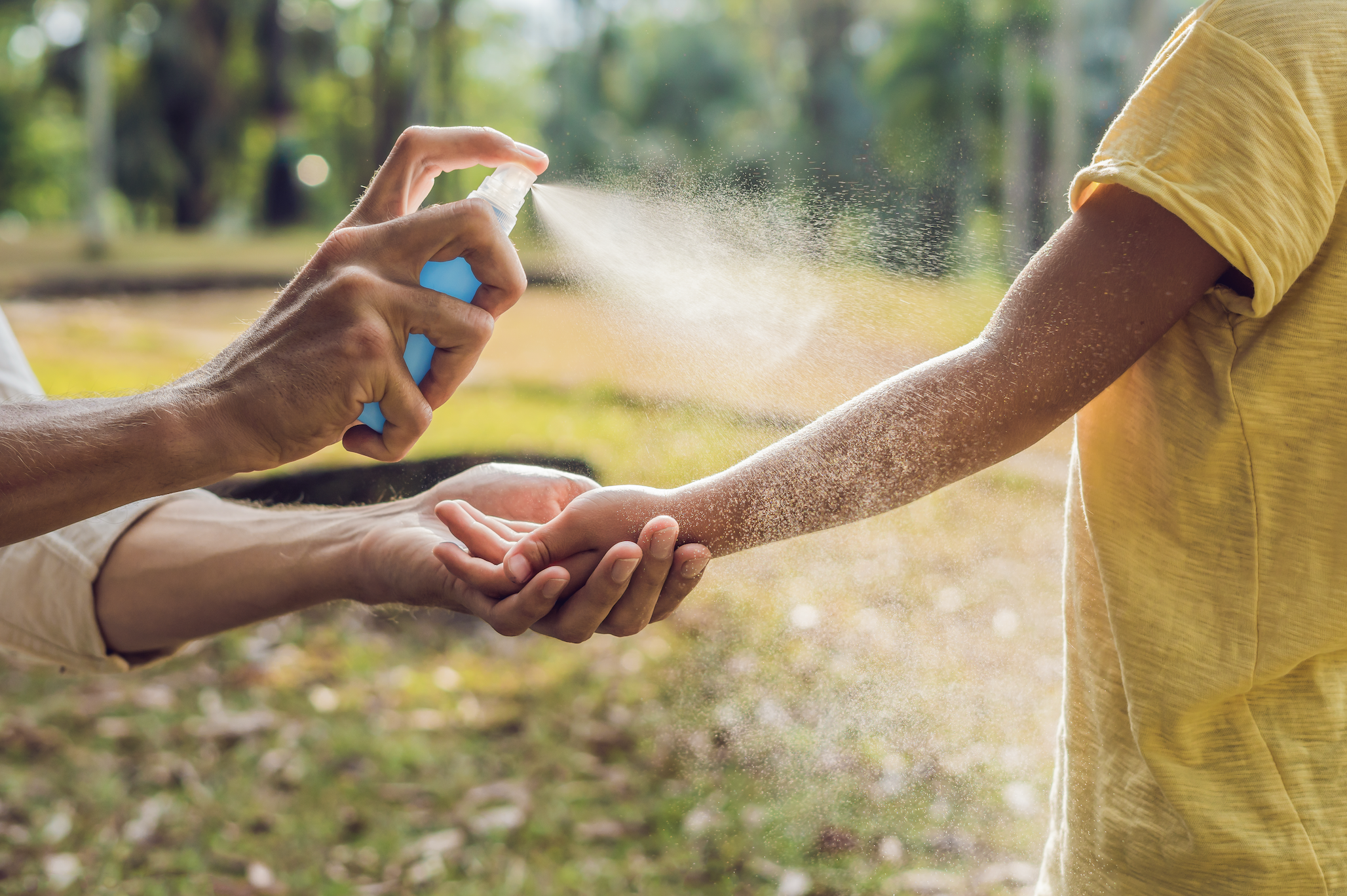 MAKE YOUR HOME A BUG-FREE ZONE