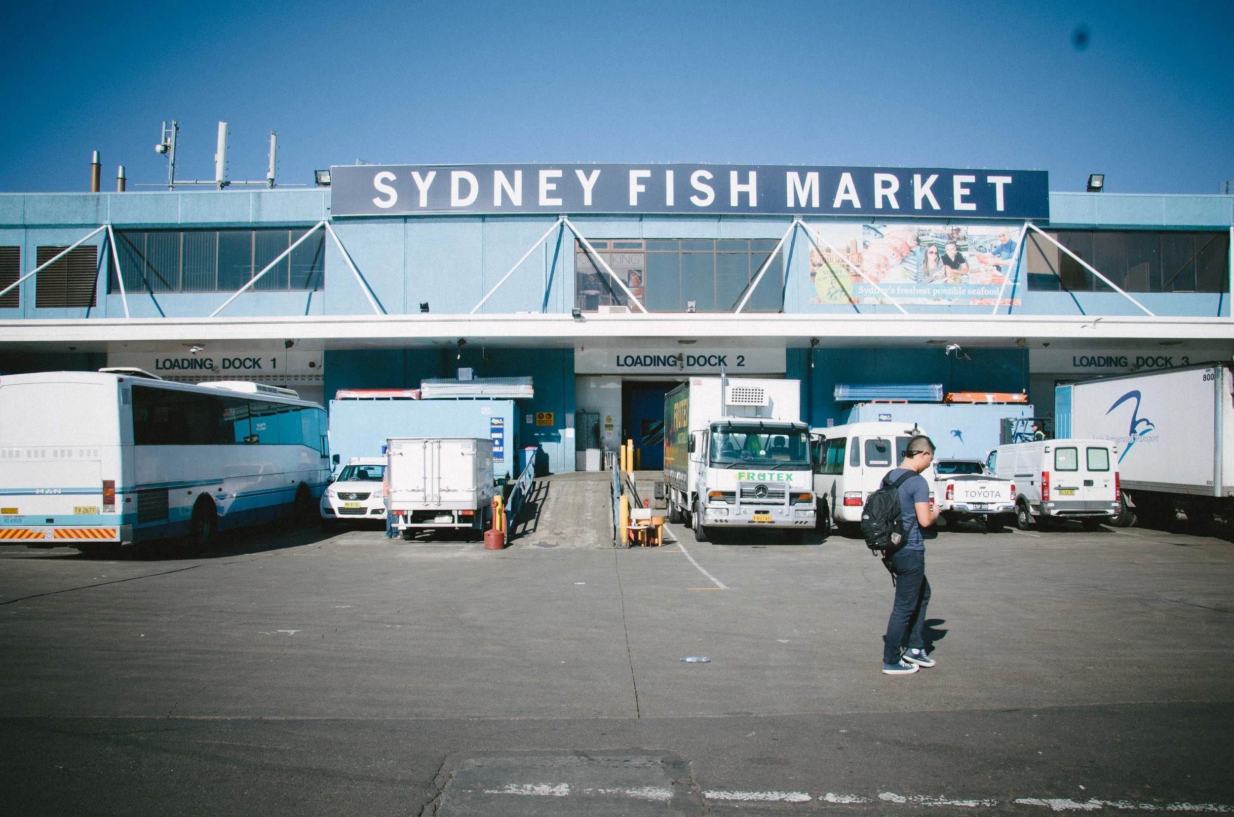 sydney9.jpg