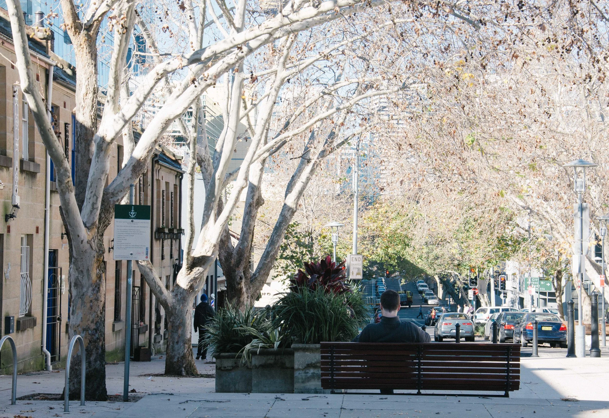 sydney12.jpg