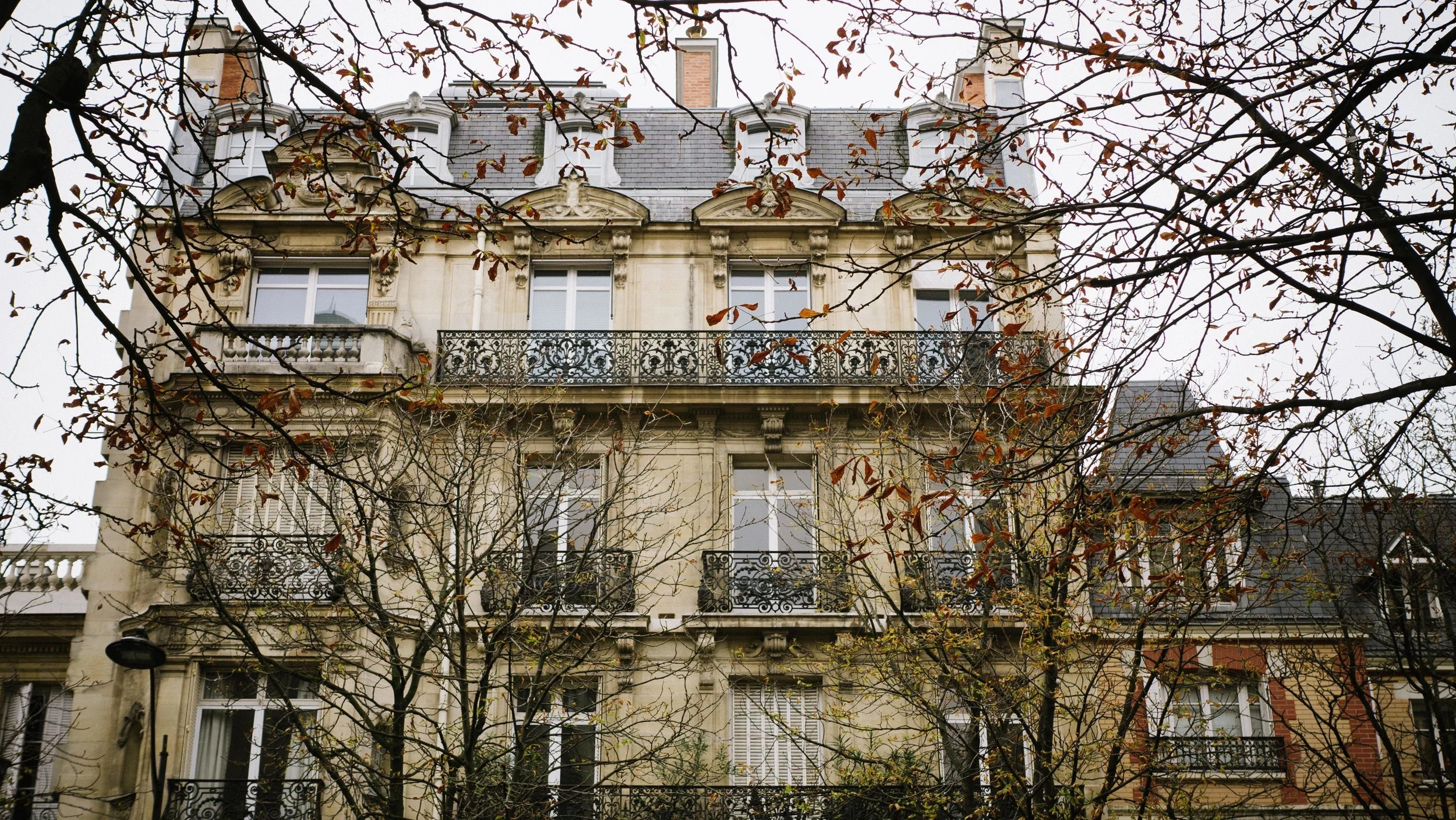 P1130165.jpg