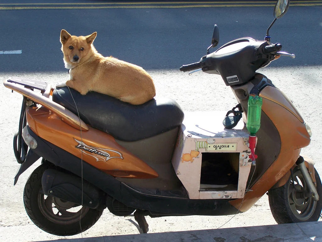 seoul6.jpg