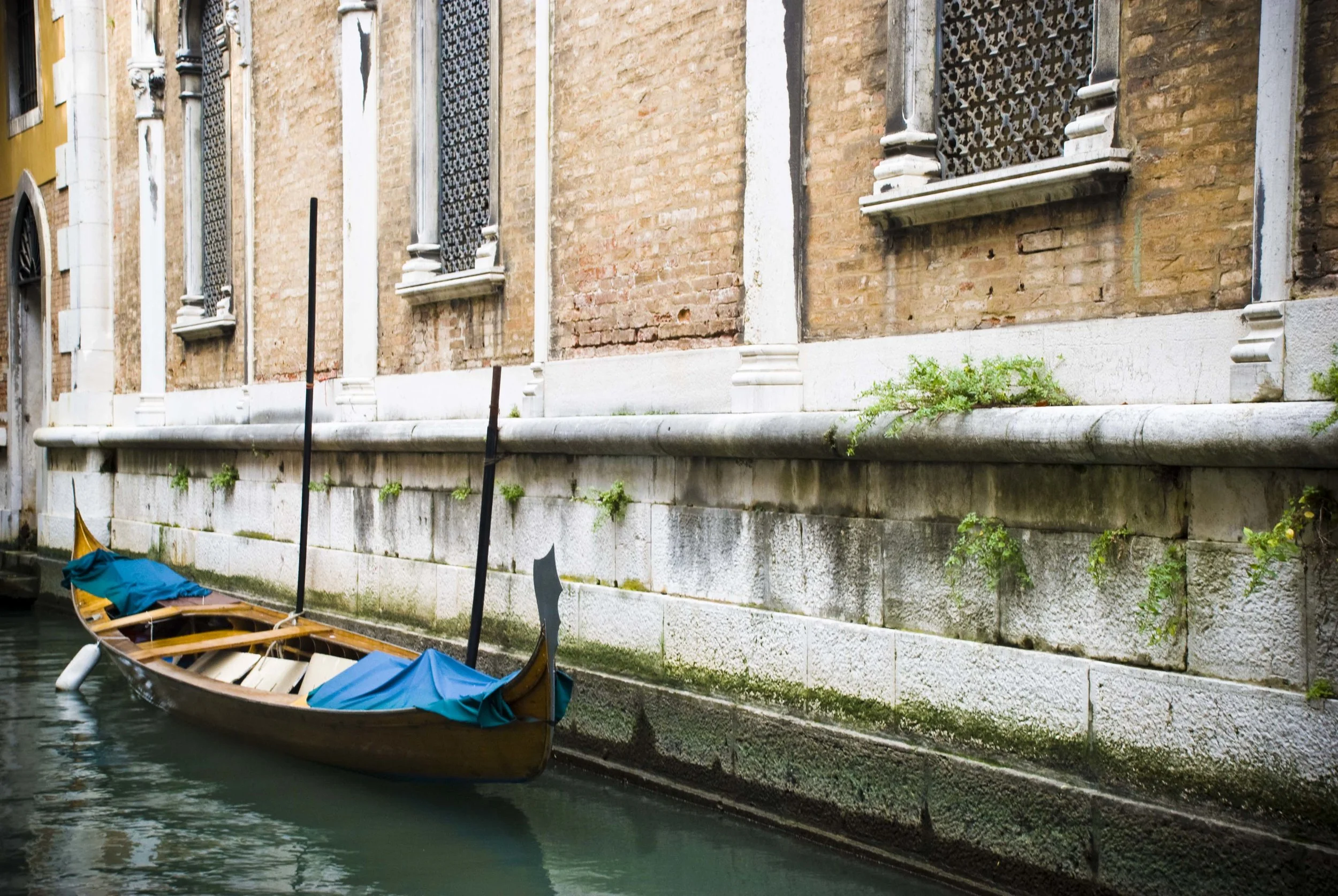venice9.jpg