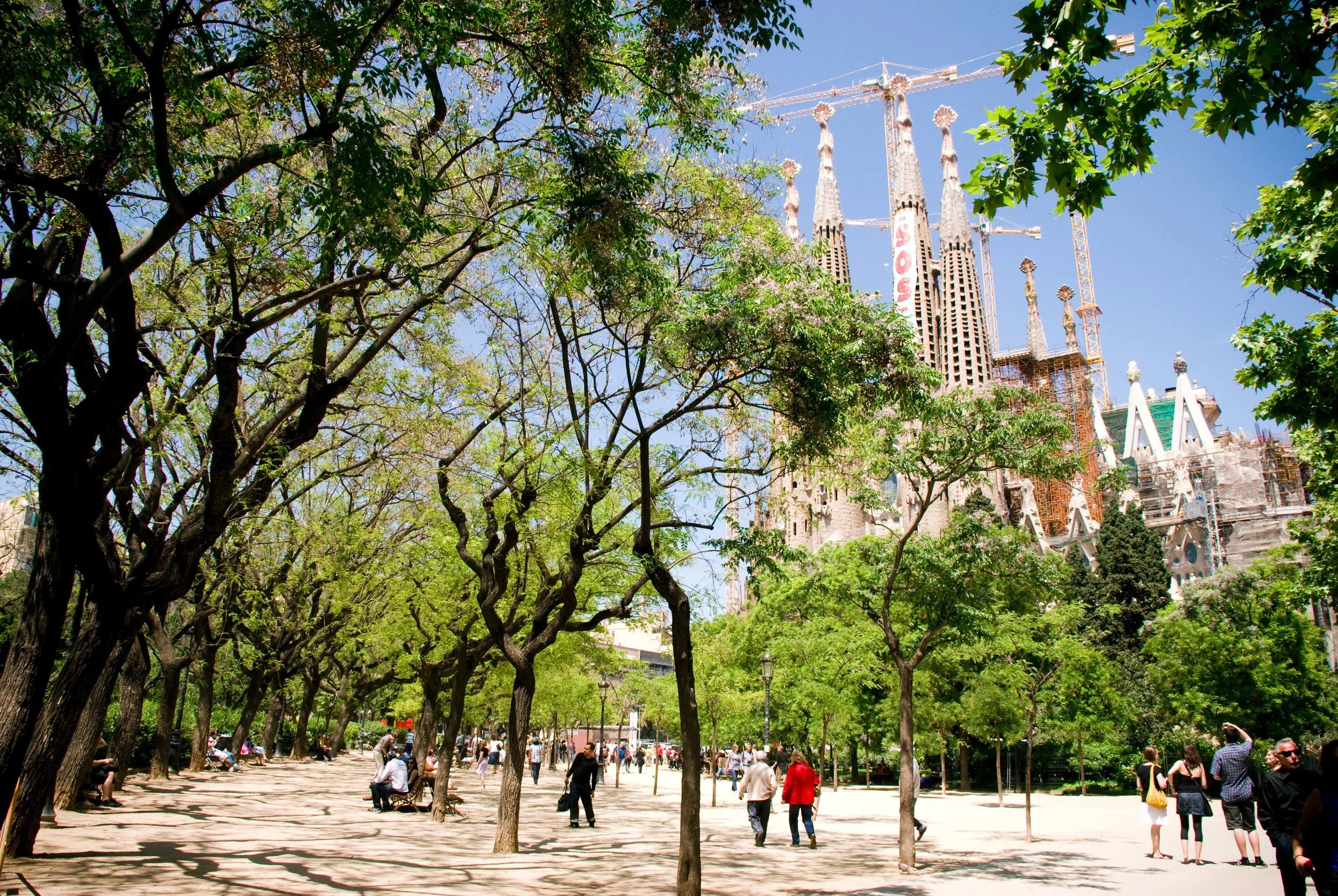 barcelona.jpg