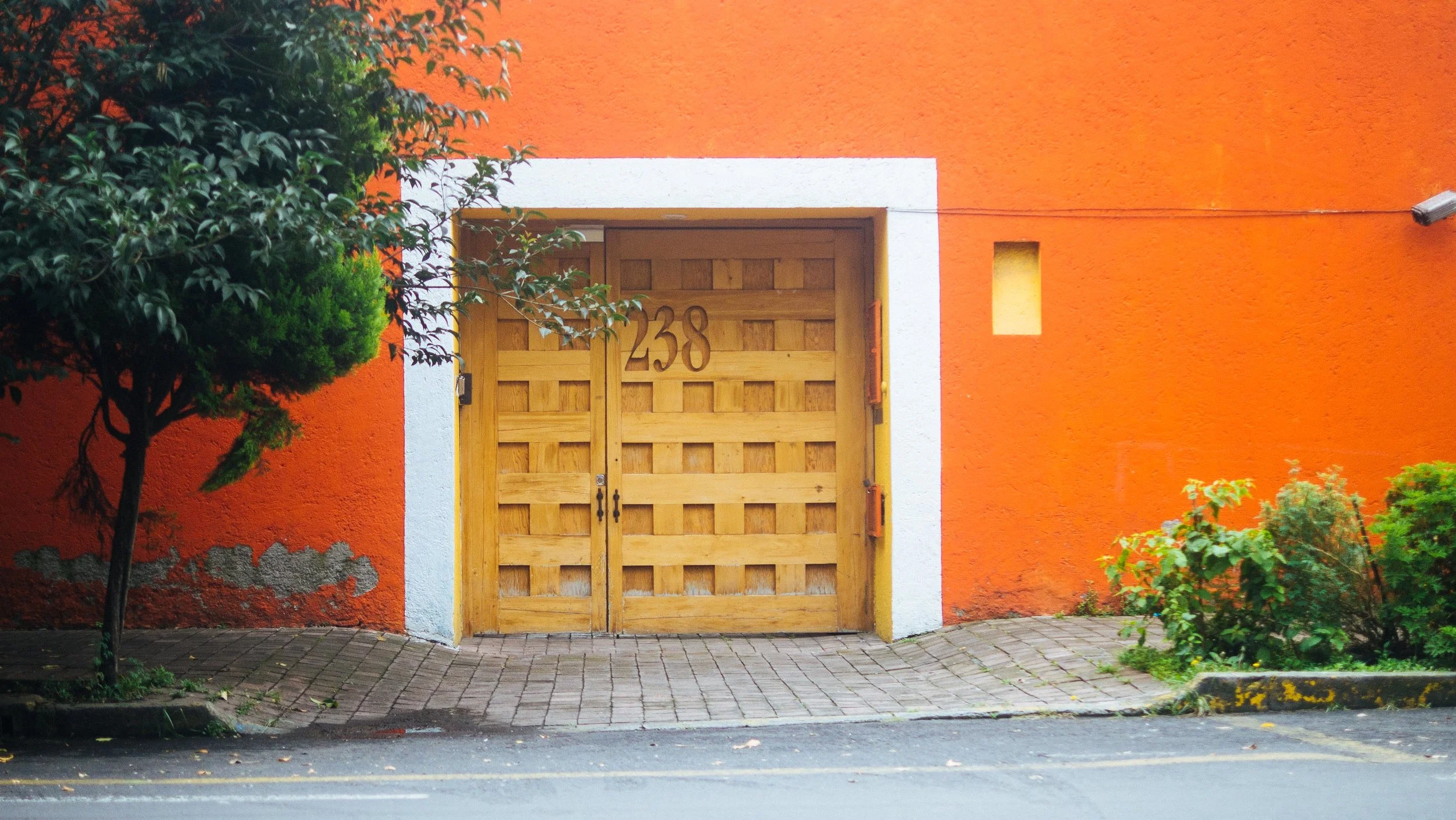 P1100293.jpg