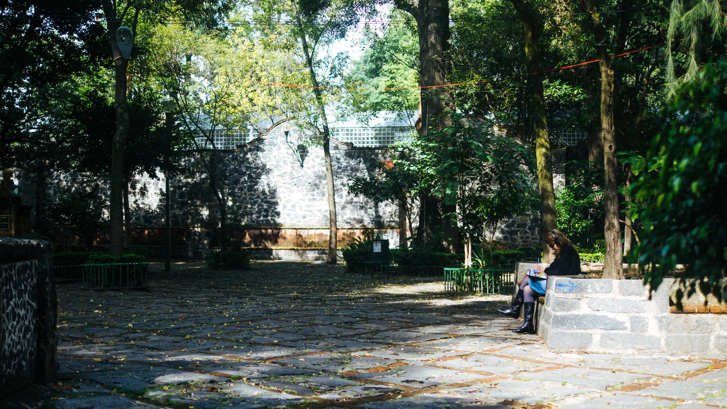 P1100426.jpg