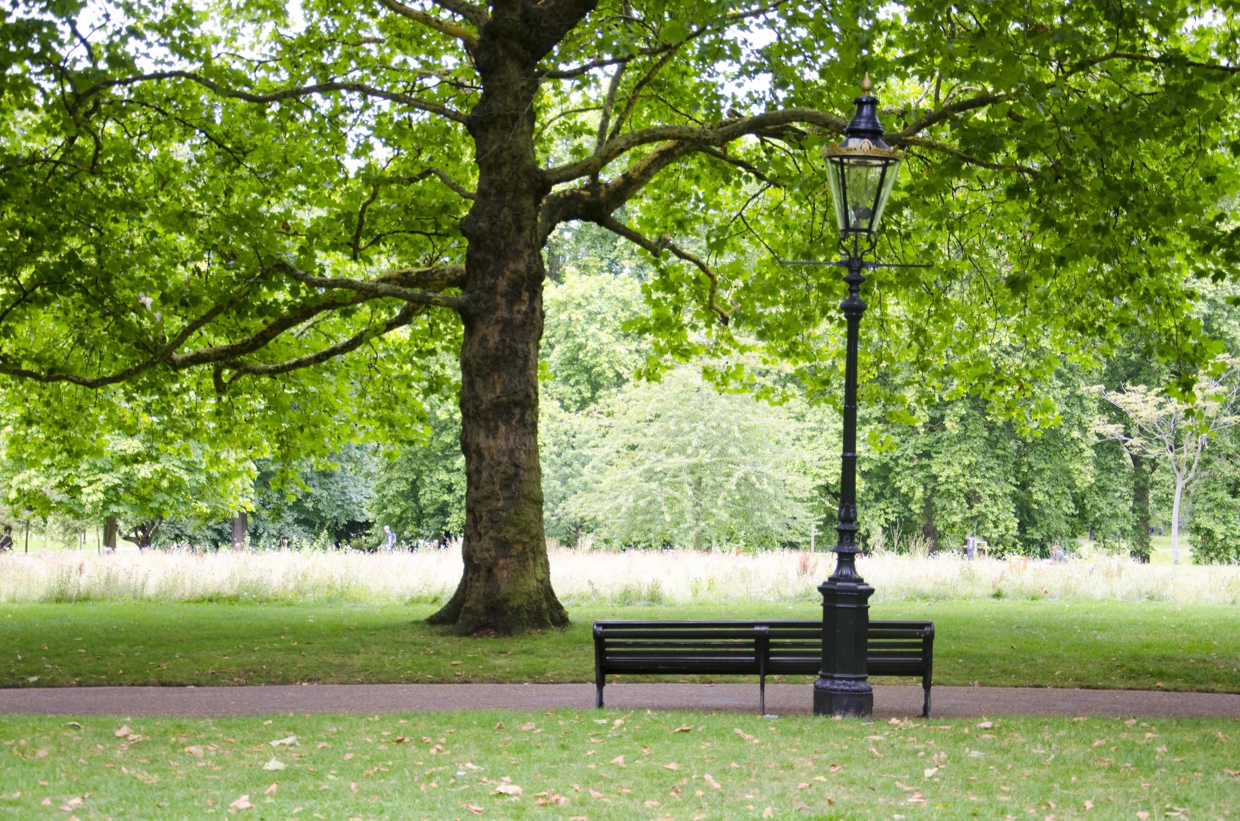 london1.jpg