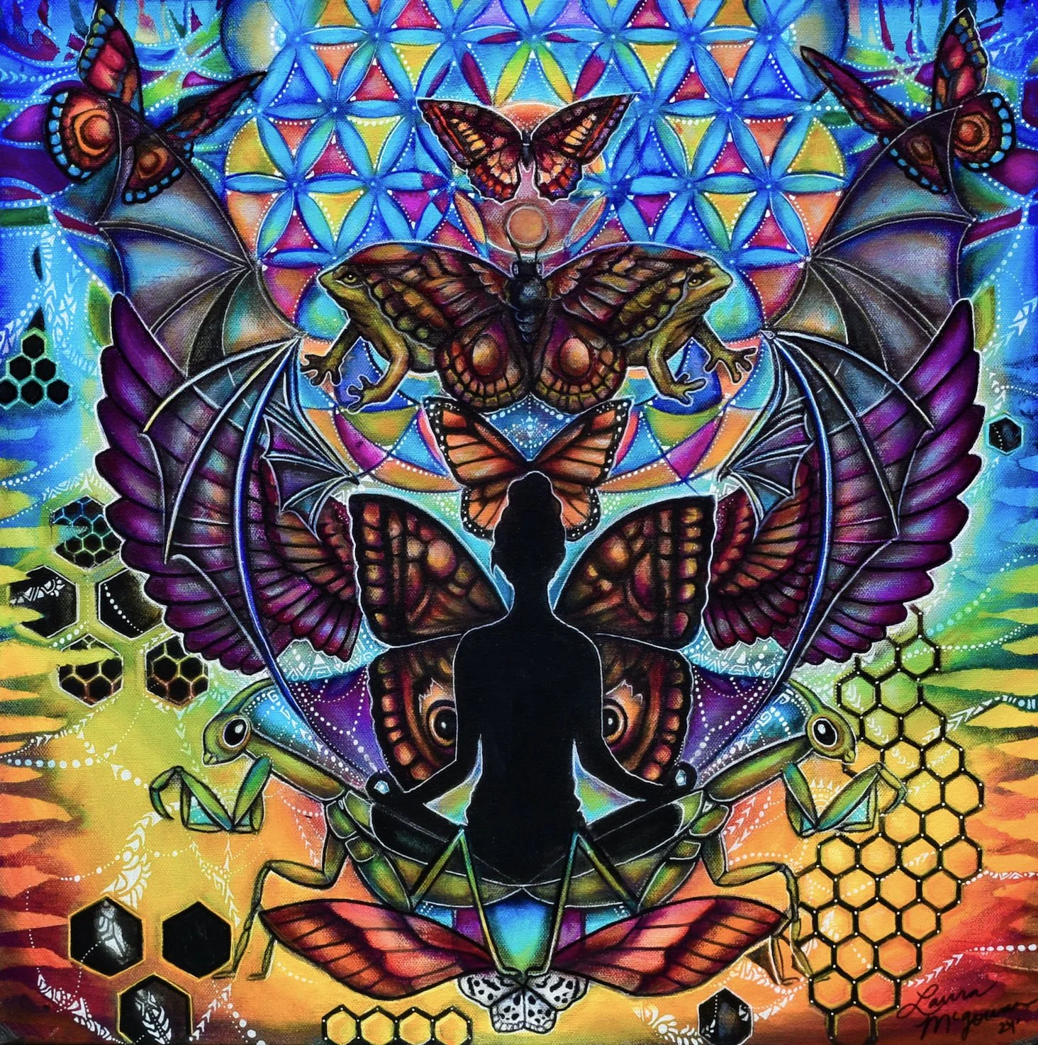 websitemedimorphosis less green-1 copy.jpeg