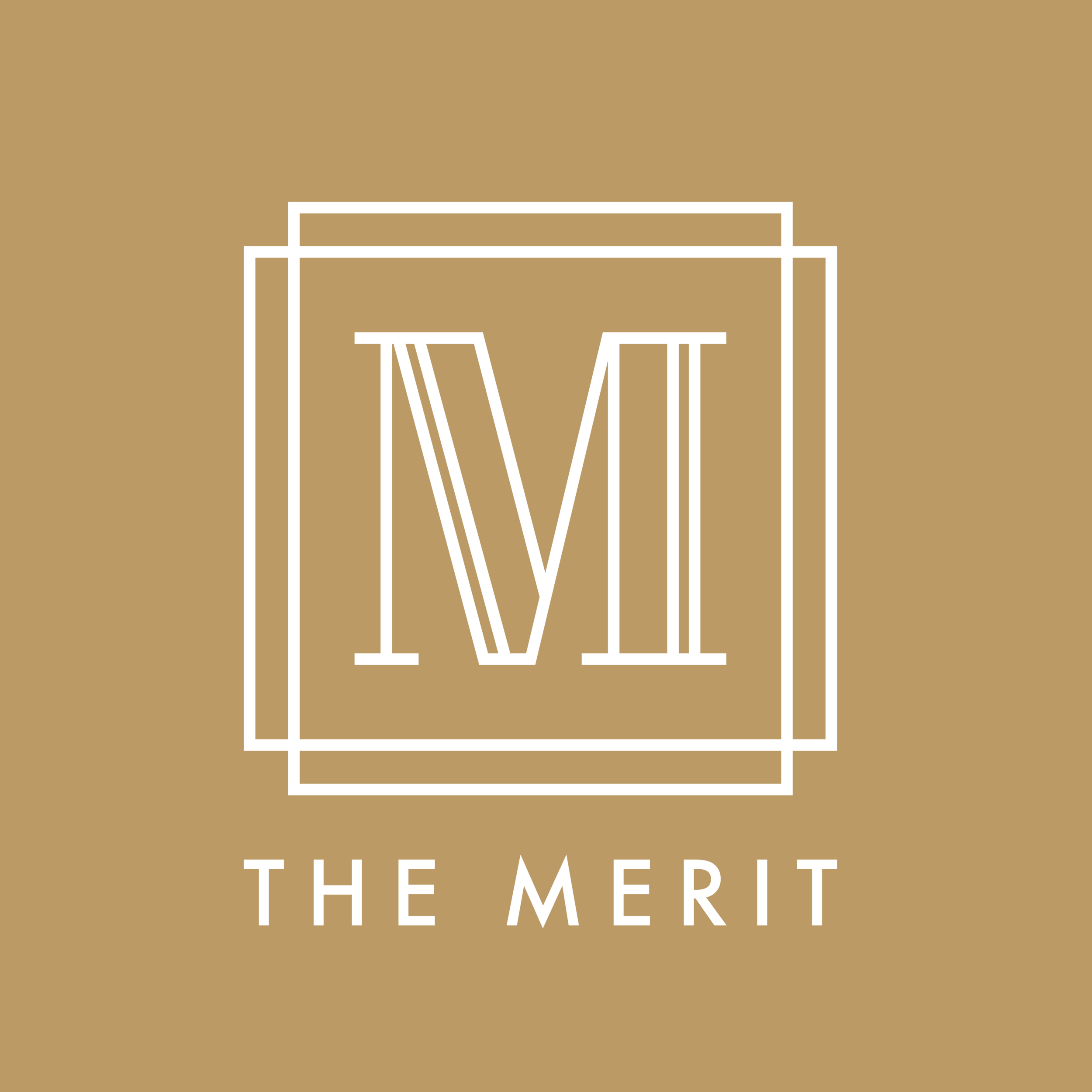 Merit_project_files-08.png