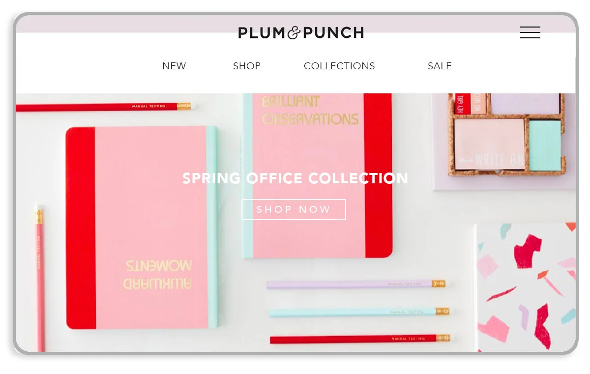 PlumandPunch_project_WEBSITE.jpg