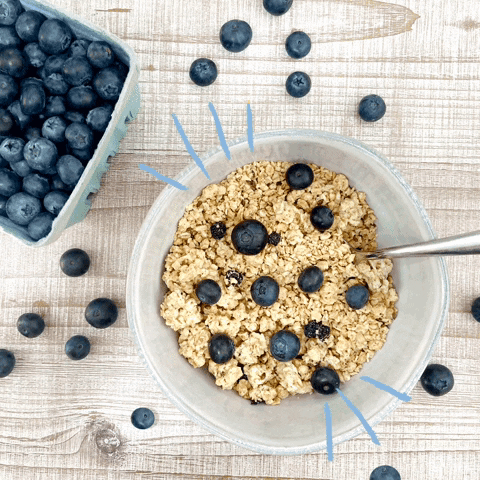 Blueberry_SHFgiphy.GIF