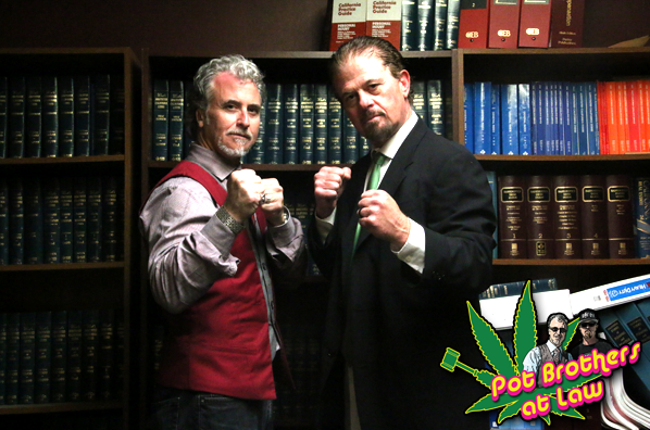 marijuana_lawyers-2.png