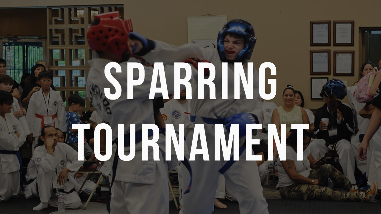 Sparring Competition - October 2026