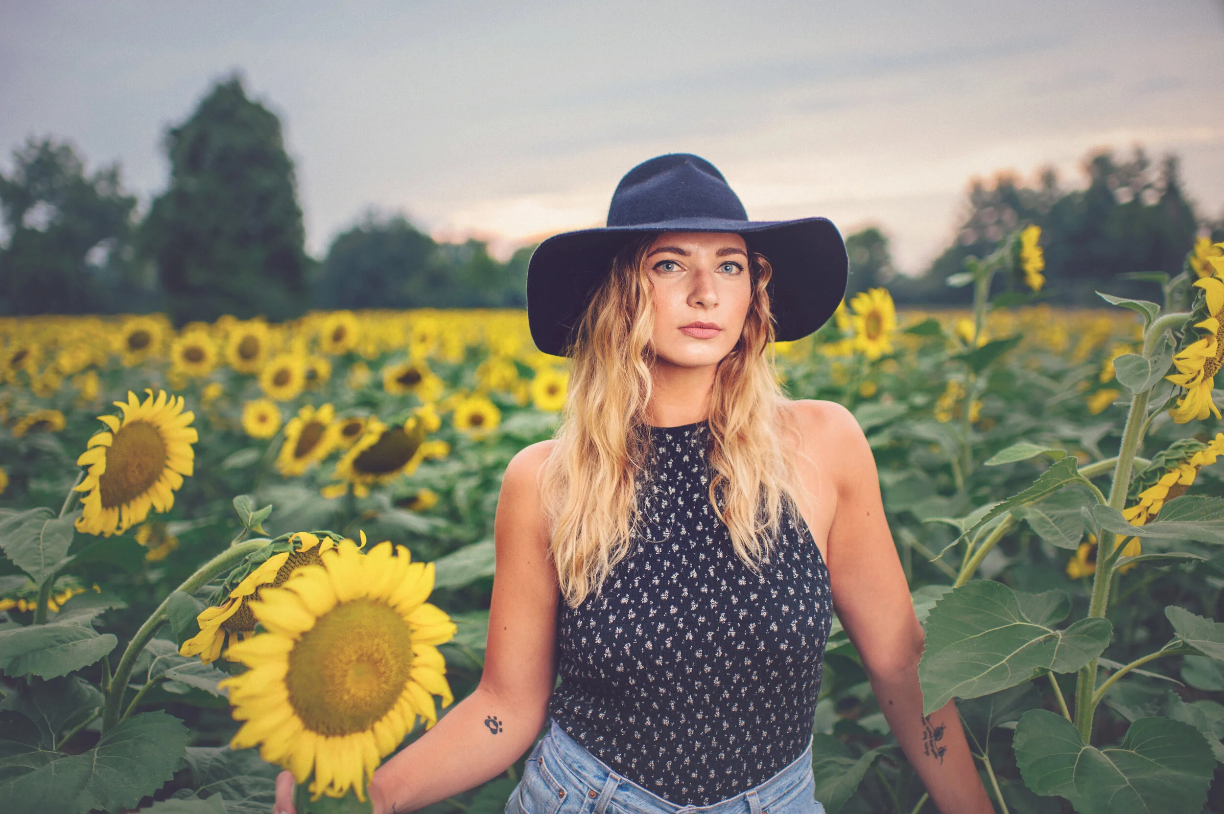 Laura Sunflower Fields Poolesville Maryland