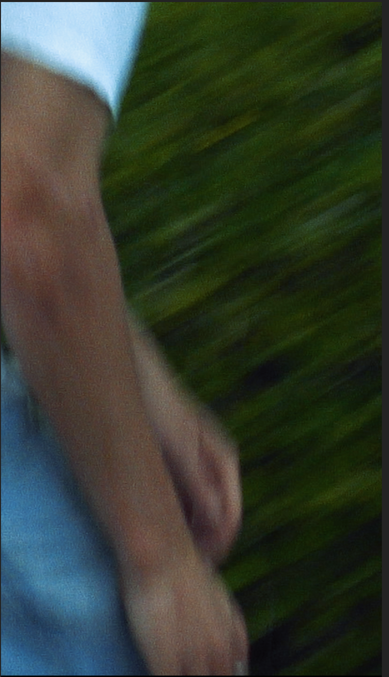 Screen Shot 2023-06-16 at 3.33.45 AM.png