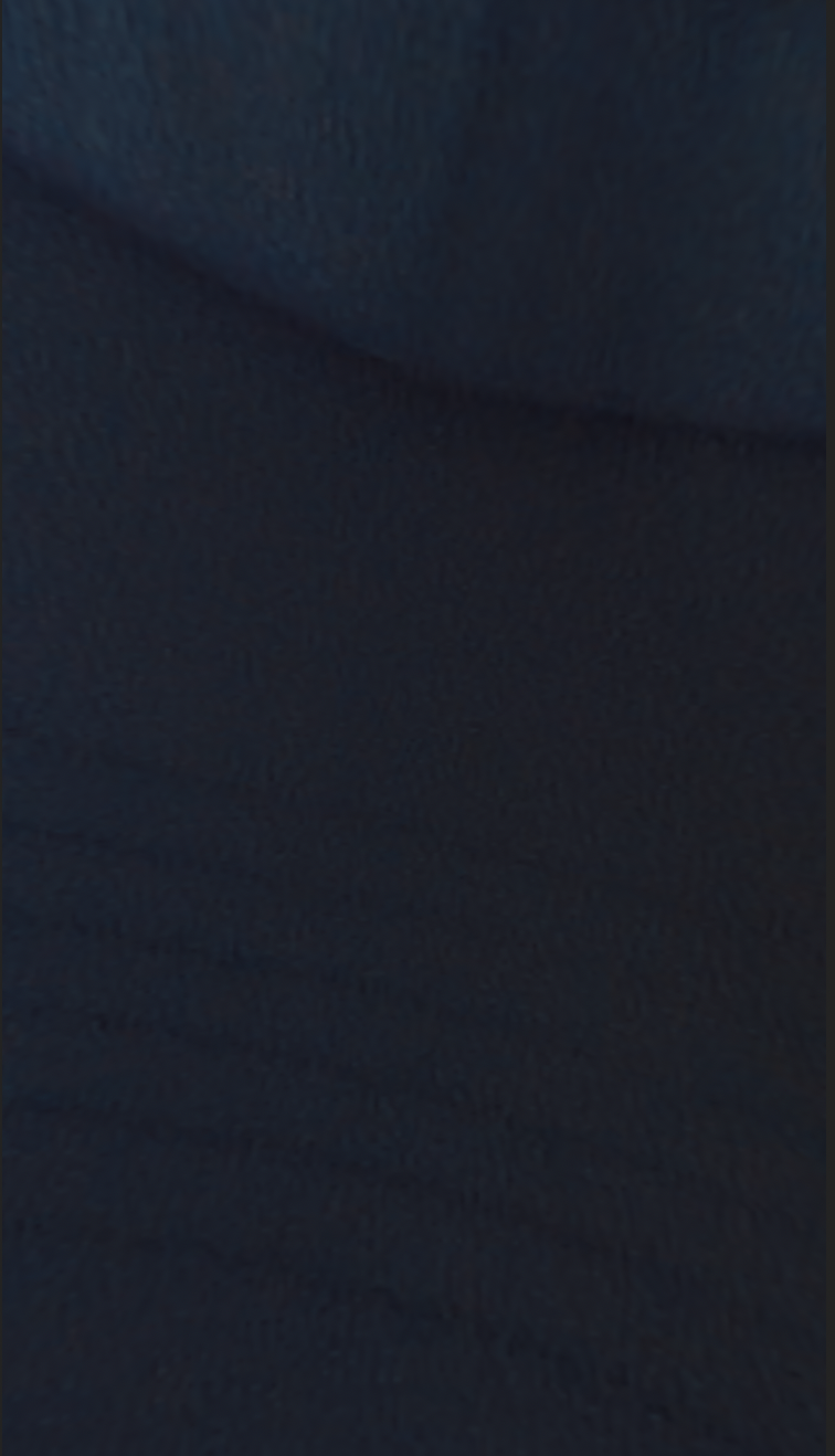 Screen Shot 2023-06-16 at 3.05.11 AM.png