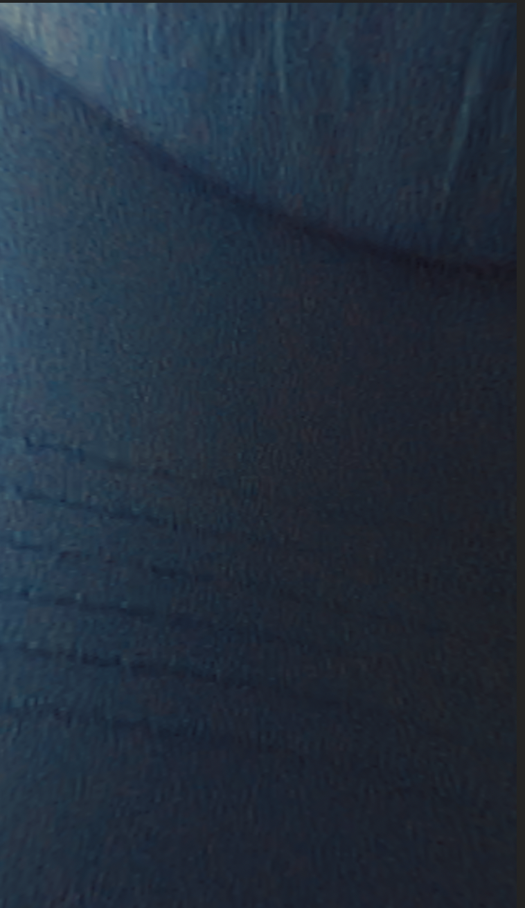 Screen Shot 2023-06-16 at 3.05.26 AM.png