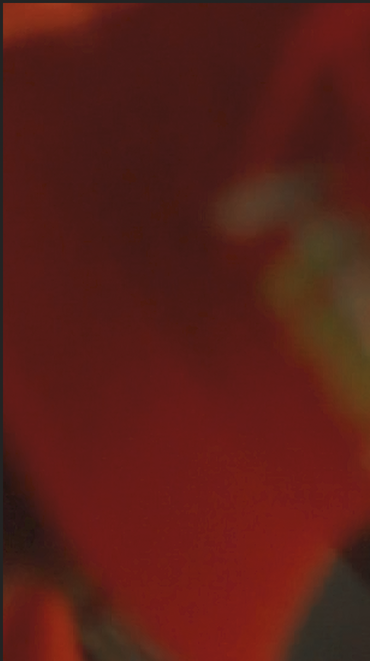 Screen Shot 2023-06-16 at 3.14.58 AM.png