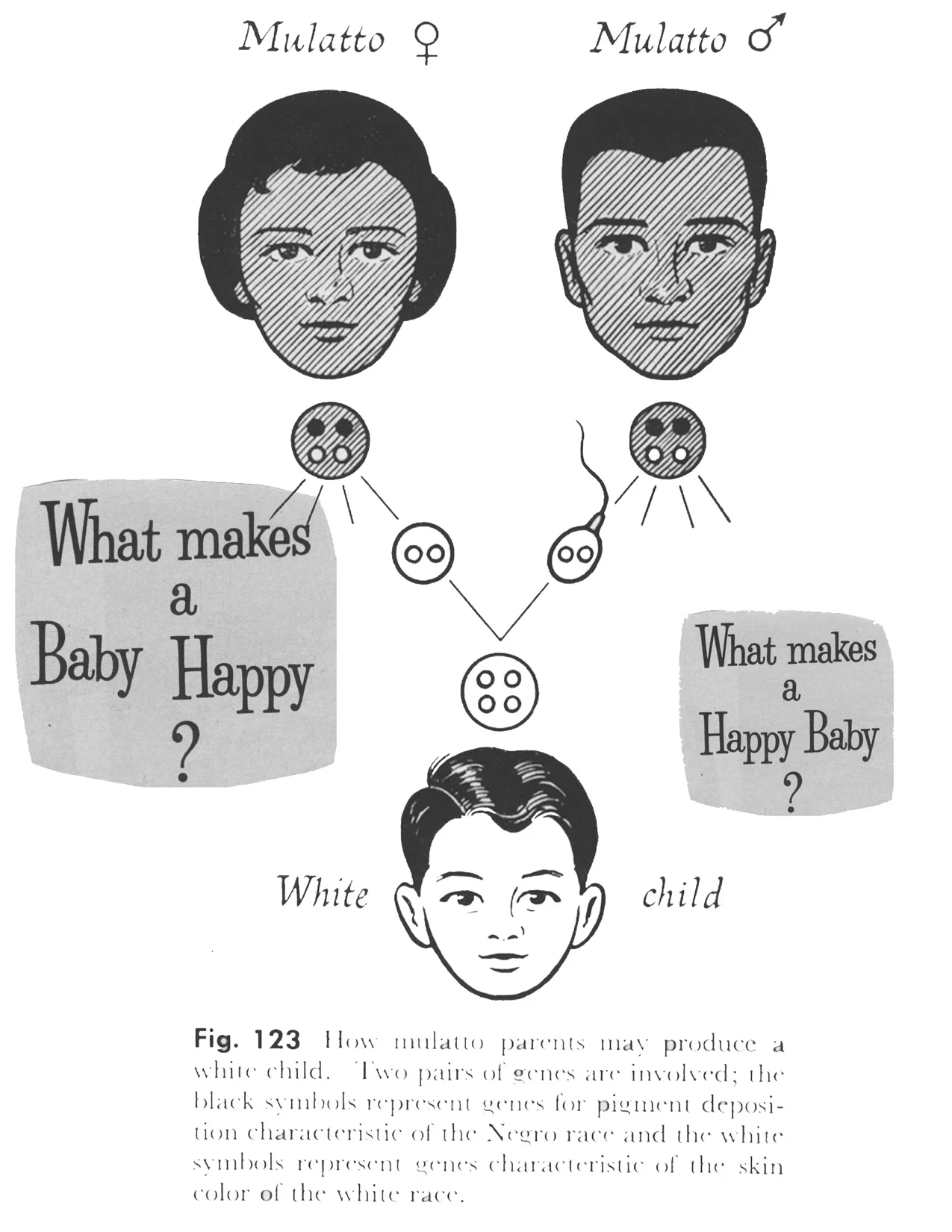 Happy Baby.jpg