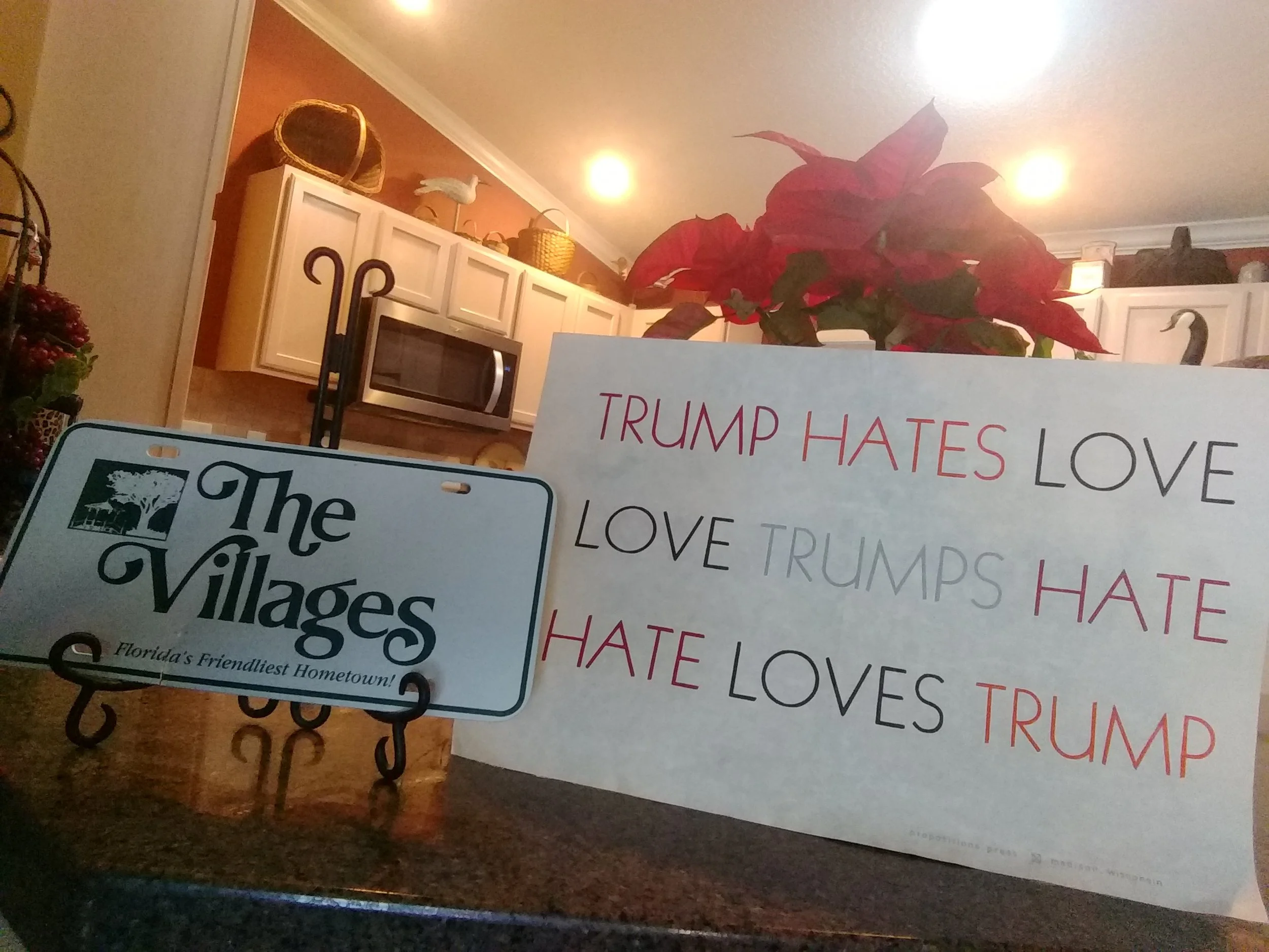 Salyer_hate_loves_trump.jpg