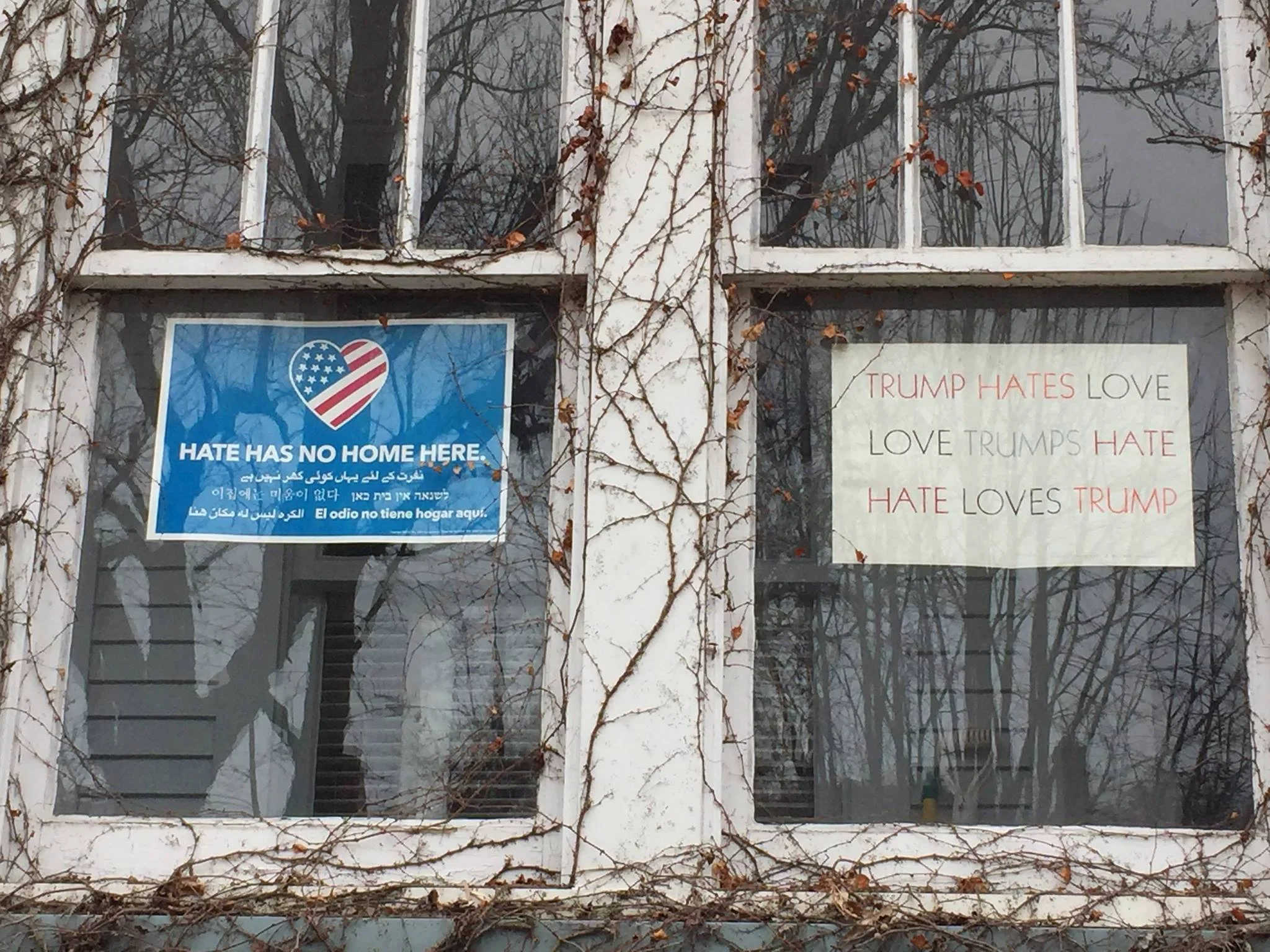 unknown_2_hate_loves_trump.jpg