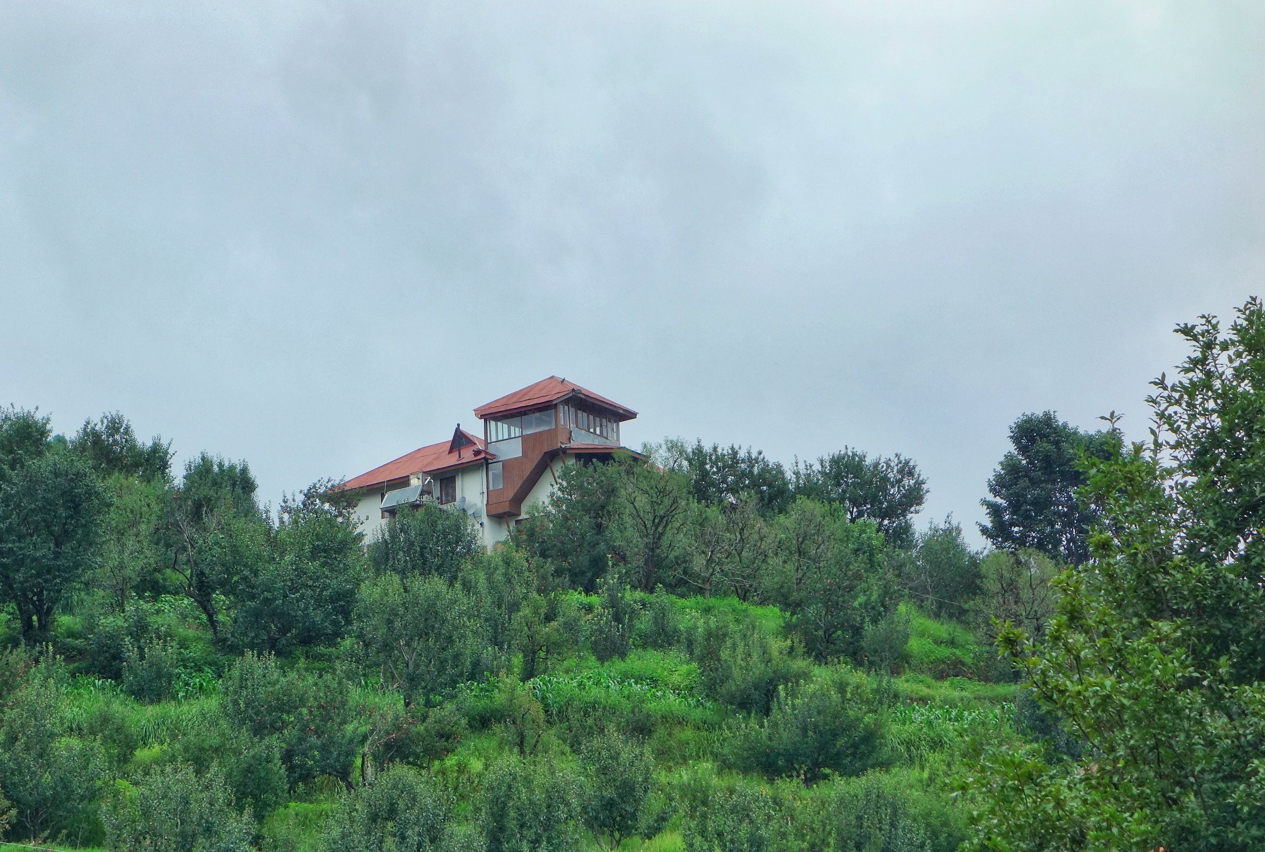 The first view of the Orchard House