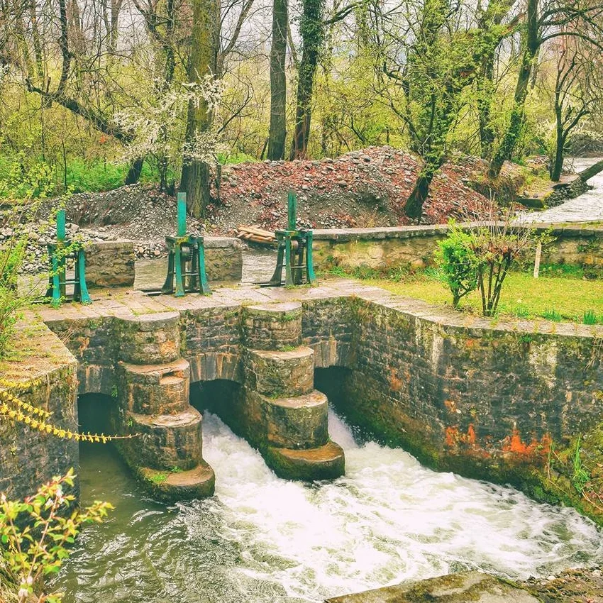 The Dagwan Nallah, Dachigam National Park