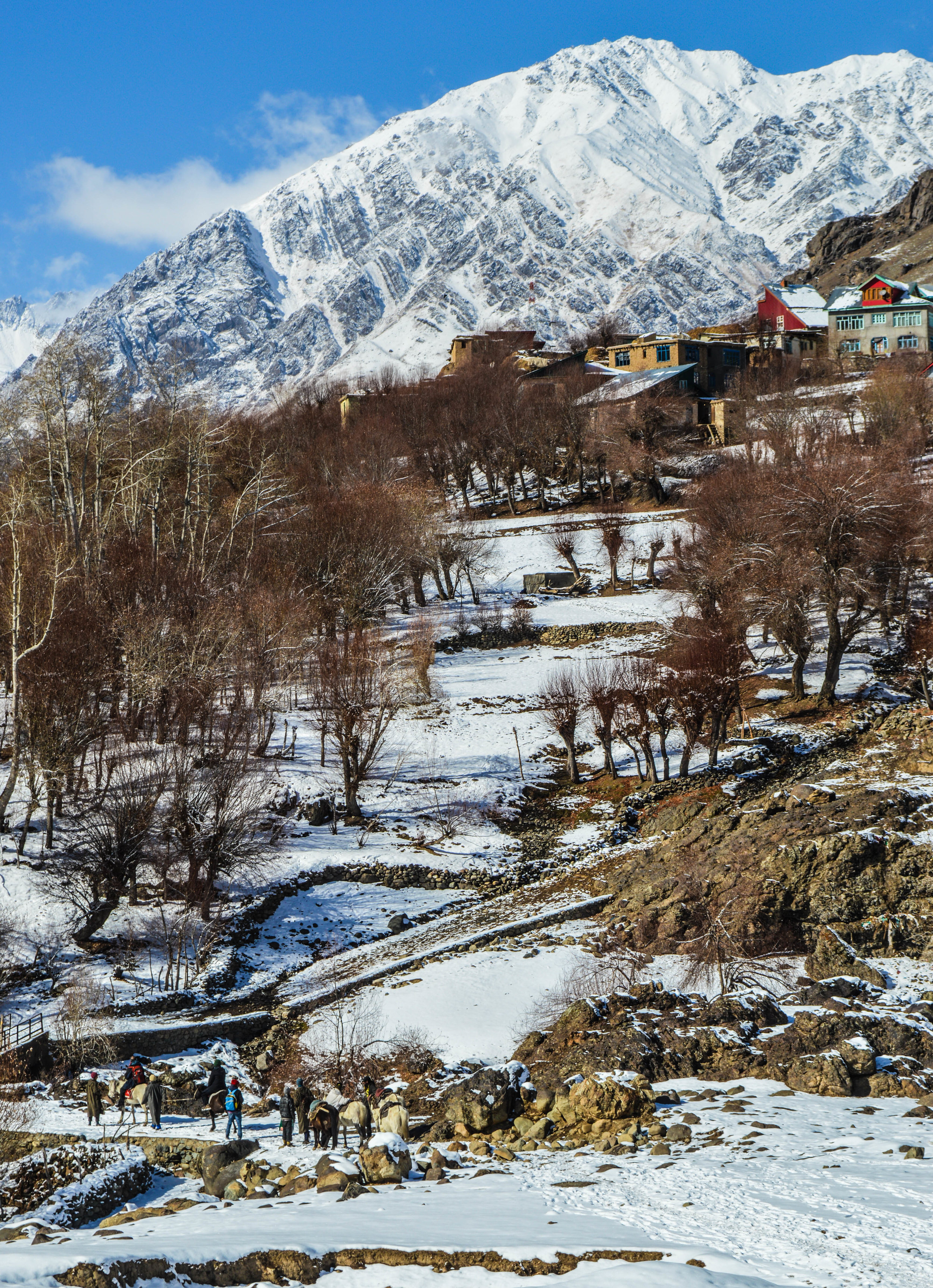 DSC_0365 - Copy.jpg