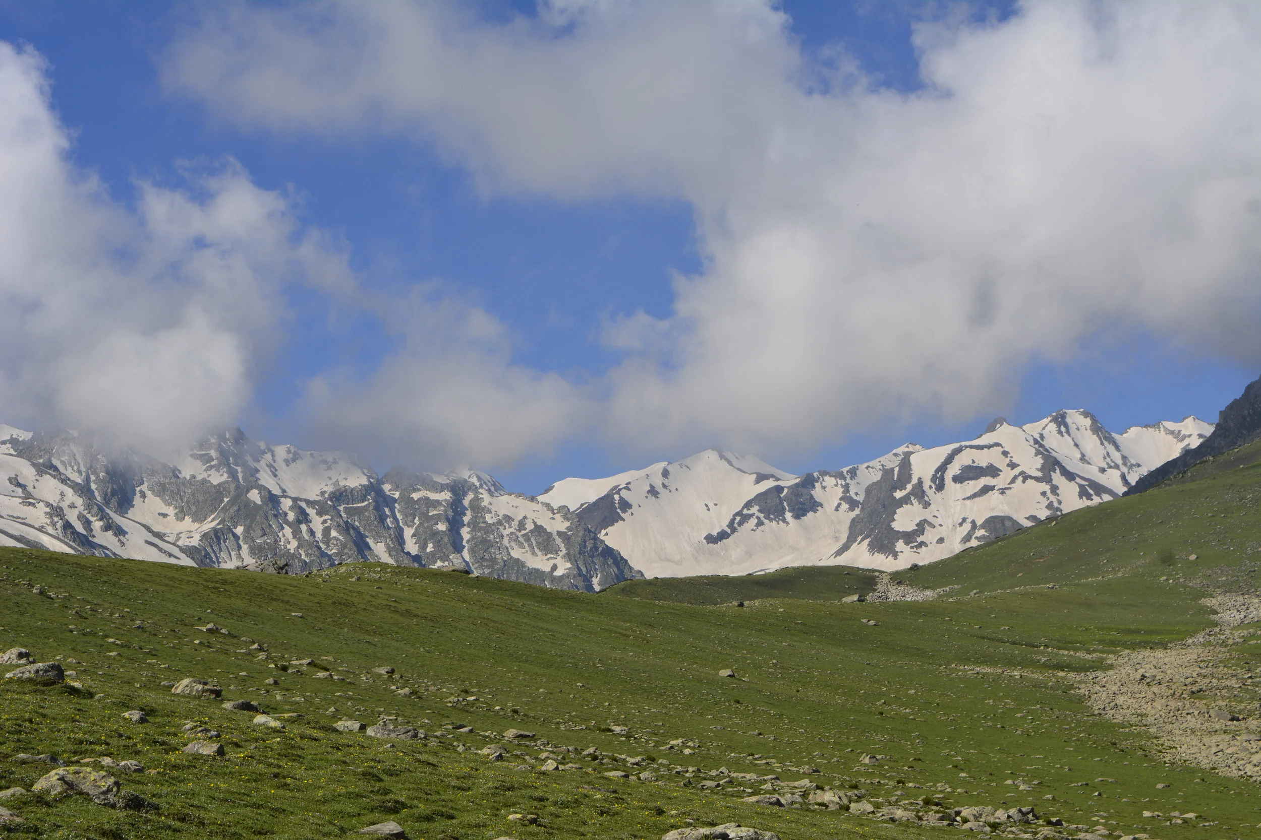 _DSC0614.JPG