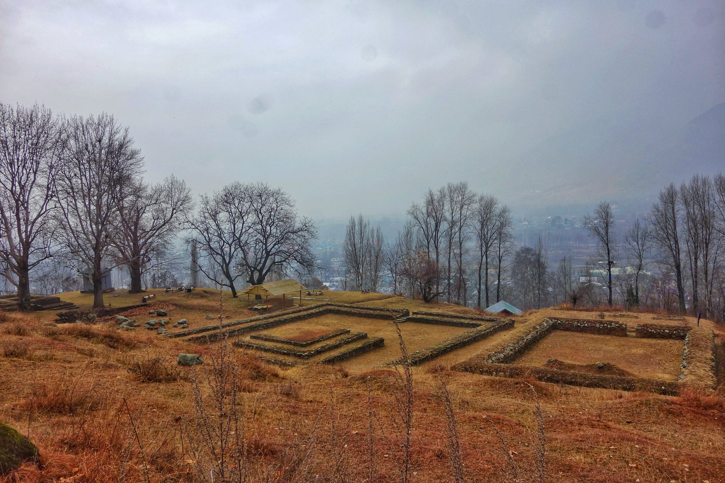 DSC08225-01.jpeg