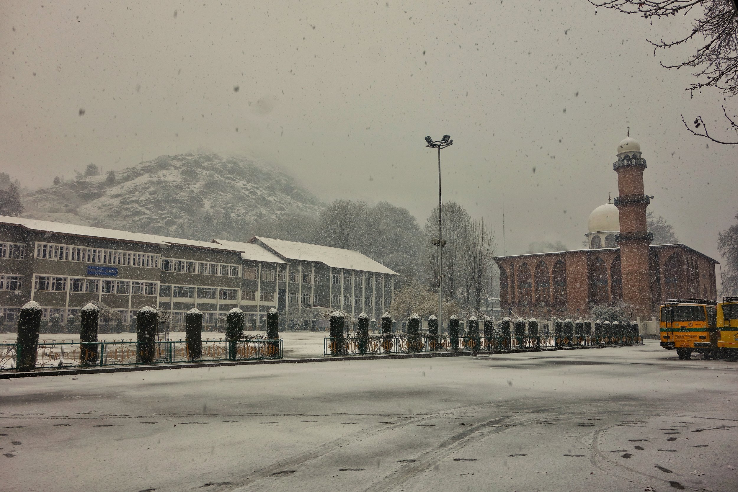 DSC07478-01.jpeg