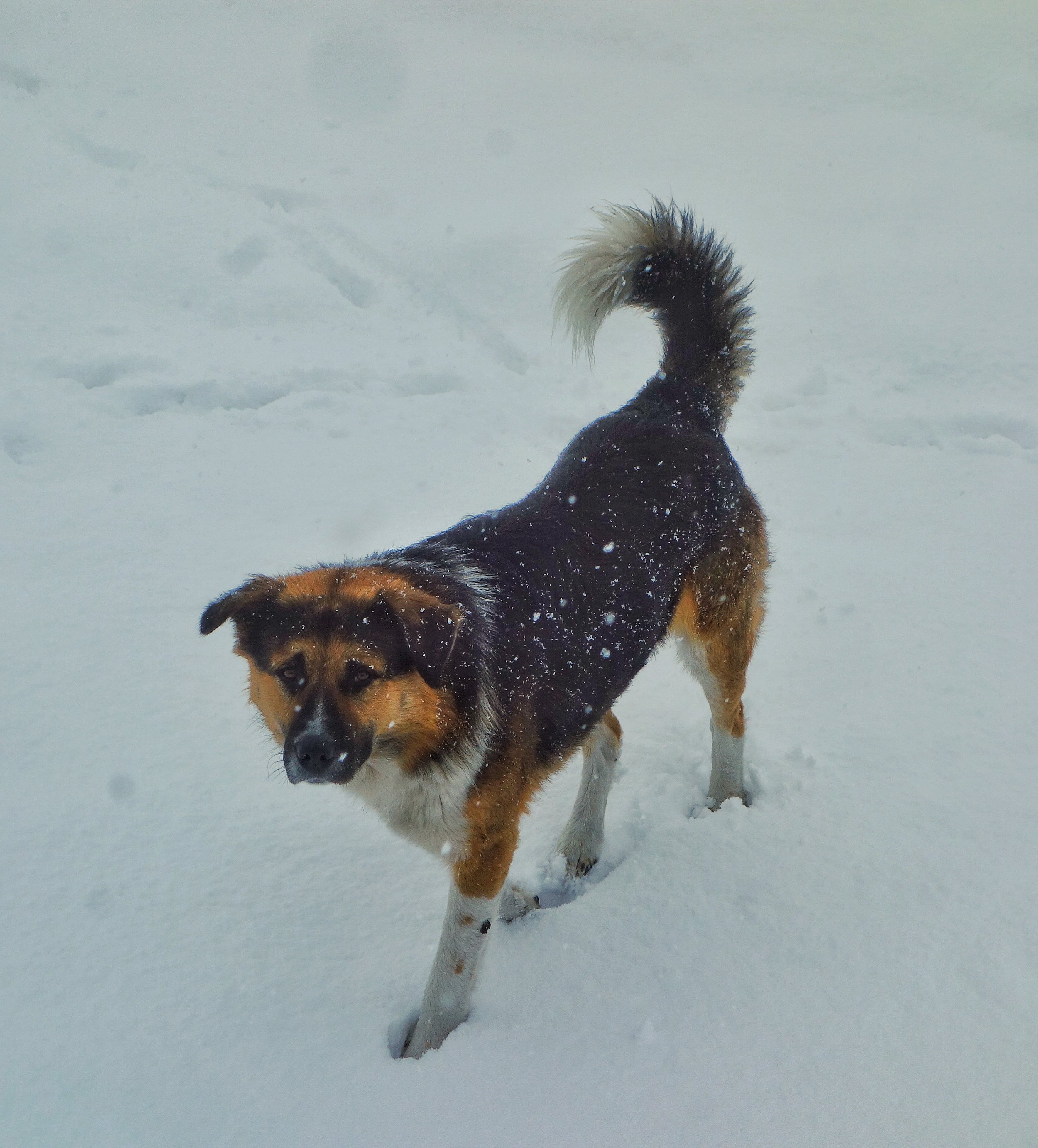 DSC06991-01.jpeg