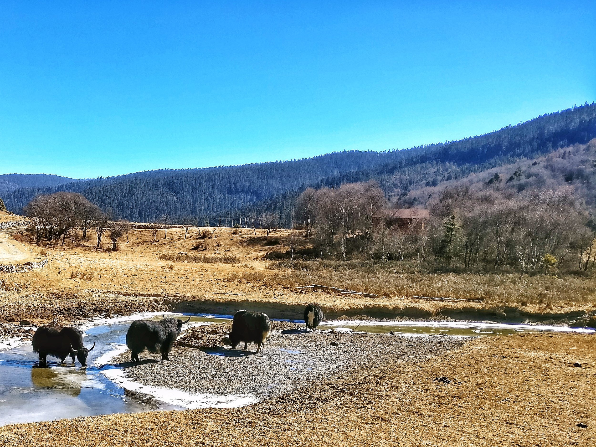 shudulake-potatsonationalpark-yunnan-world-heritage-site