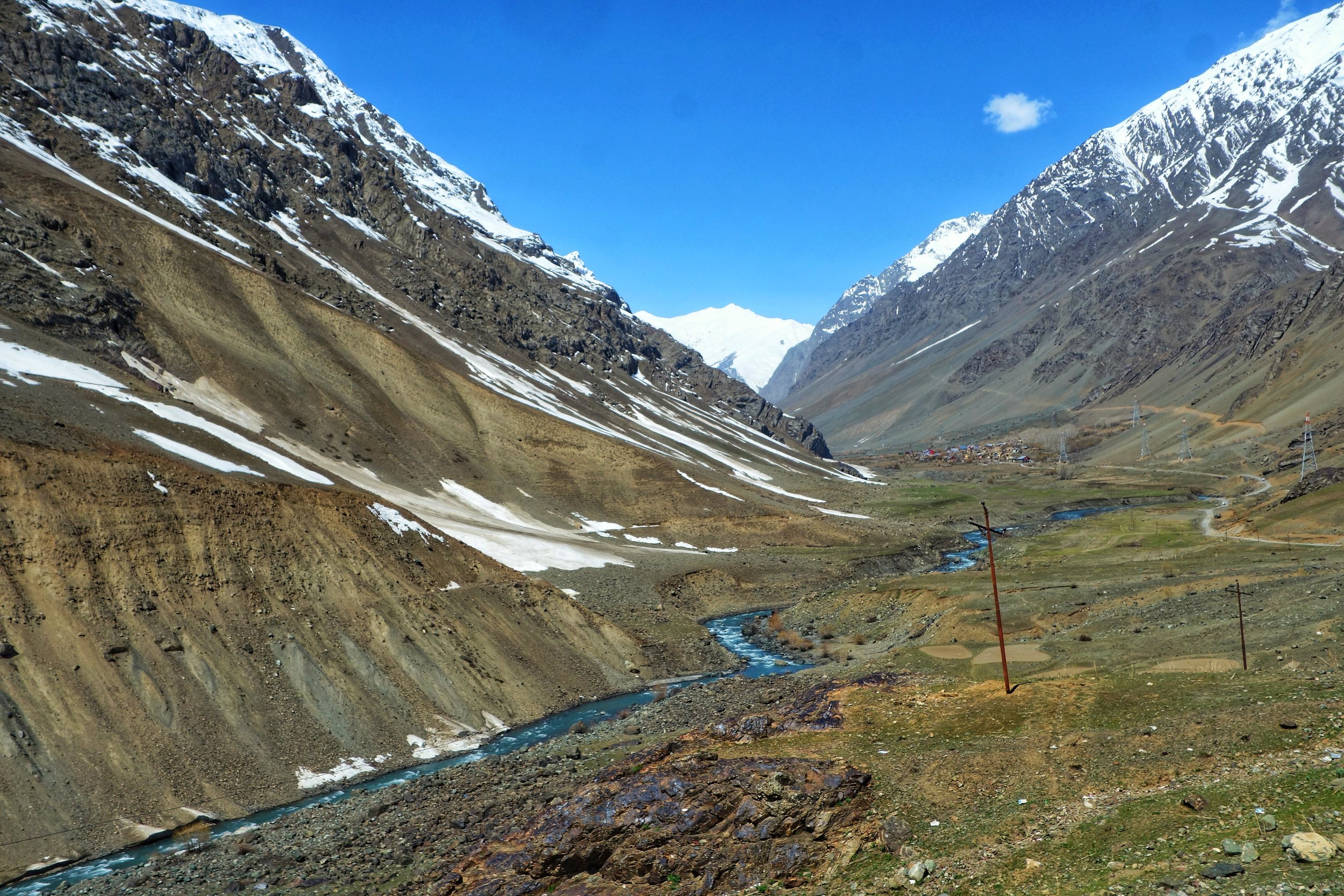 The Legendary Gold-Digging Himalayan Marmot