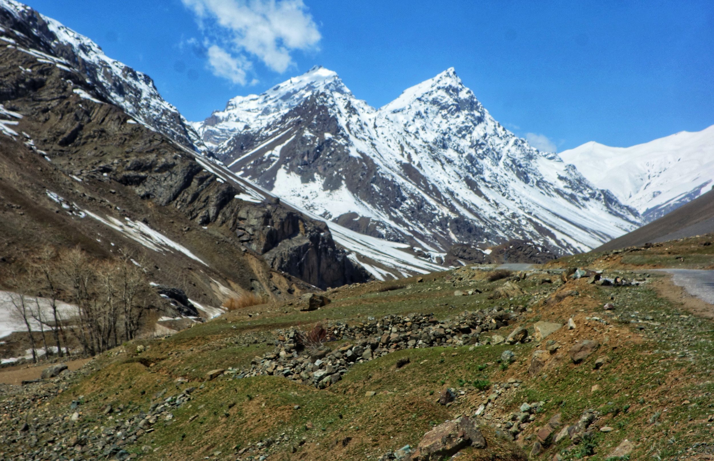 Himalayan Marmots AKA the Gold-Digging Ants of Herodotus - Photorator