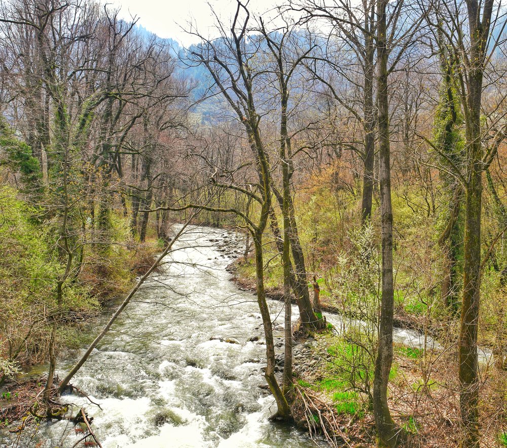 The Dagwan nallah as it winds through the Park