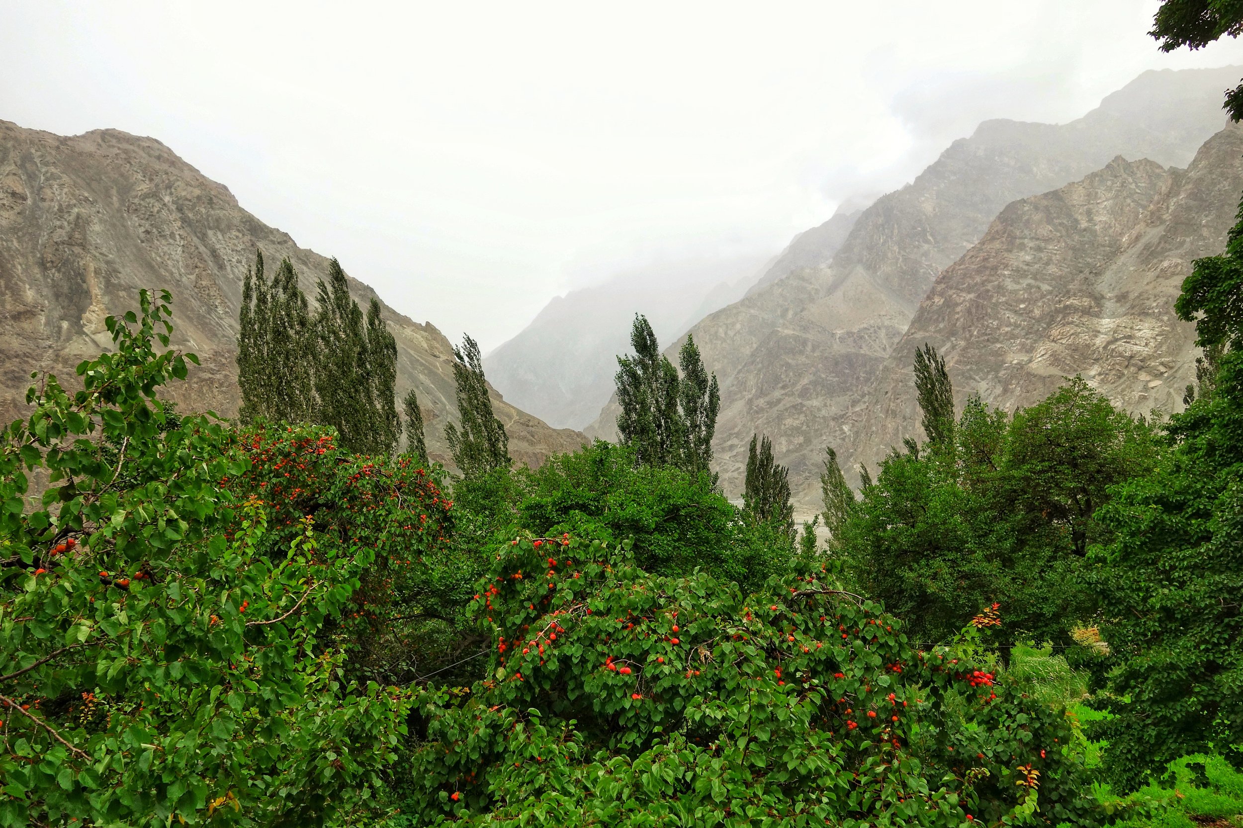 Looking across the LOC from Thang