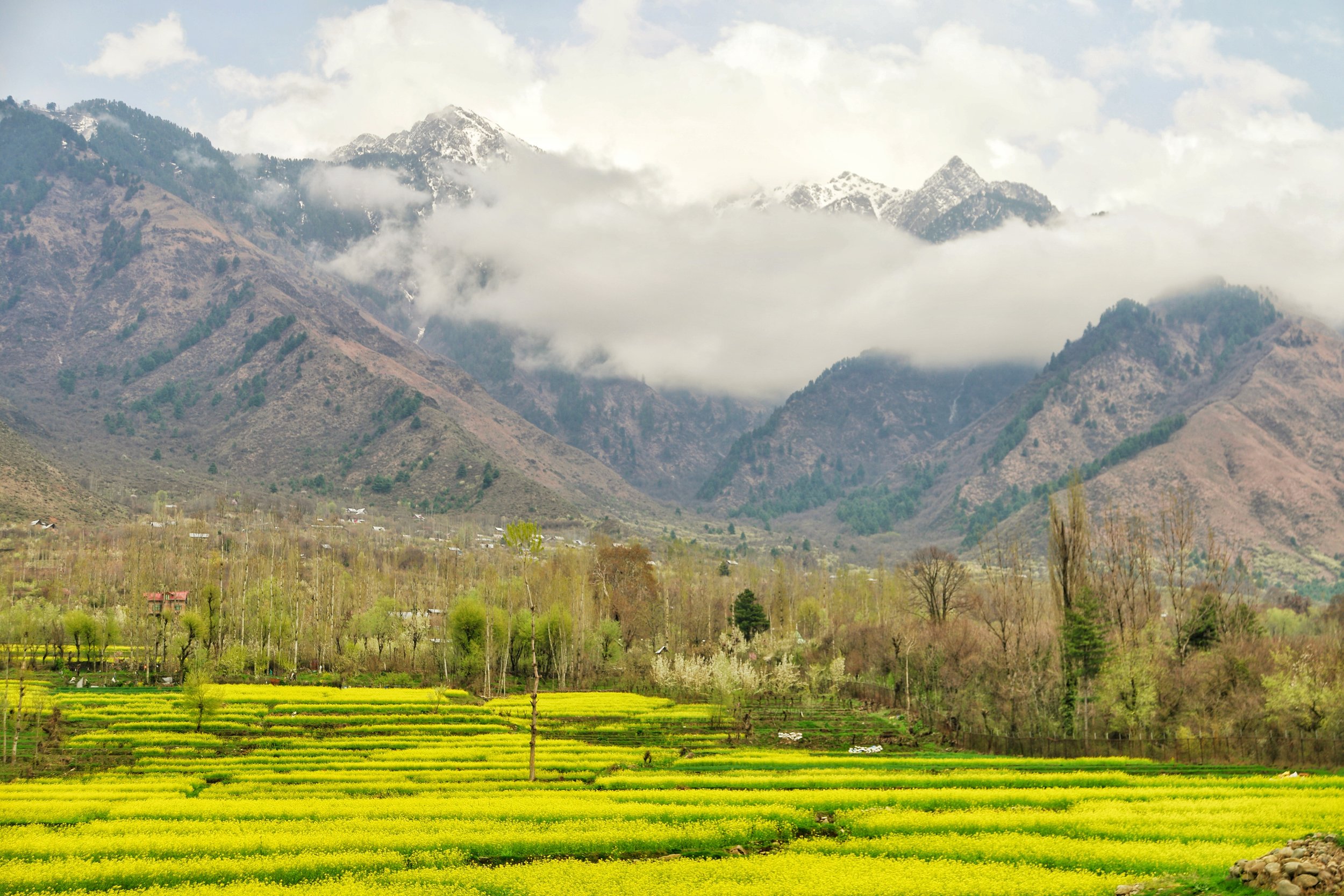 dachigam national park safari