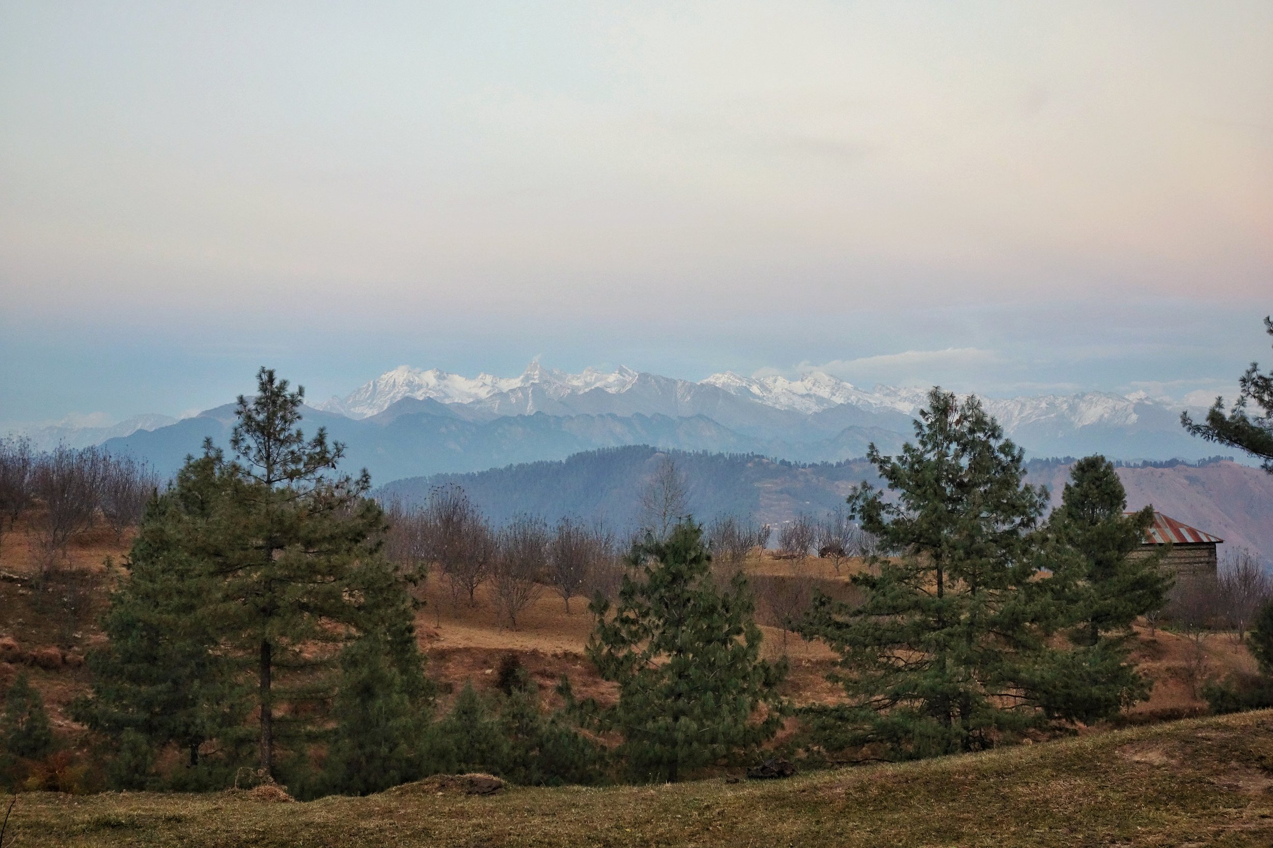 DSC02145-01.jpeg