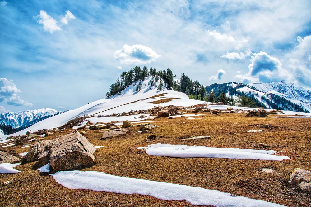 The Enchanting Padri Gali