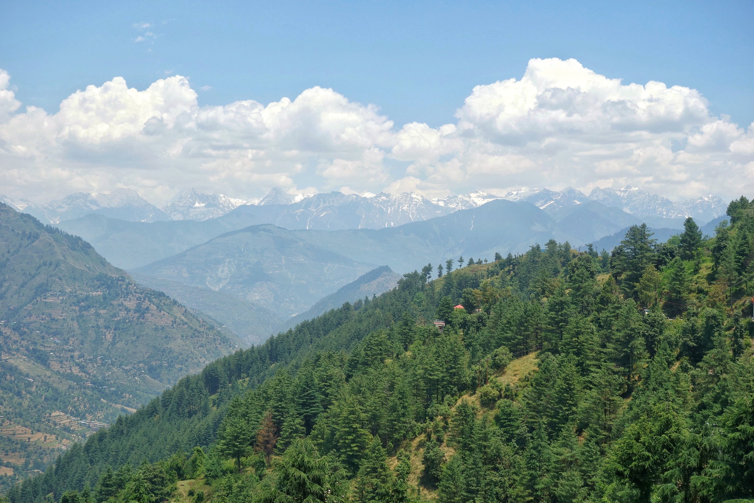 shoolini-chamba-DSC03726-01.jpeg