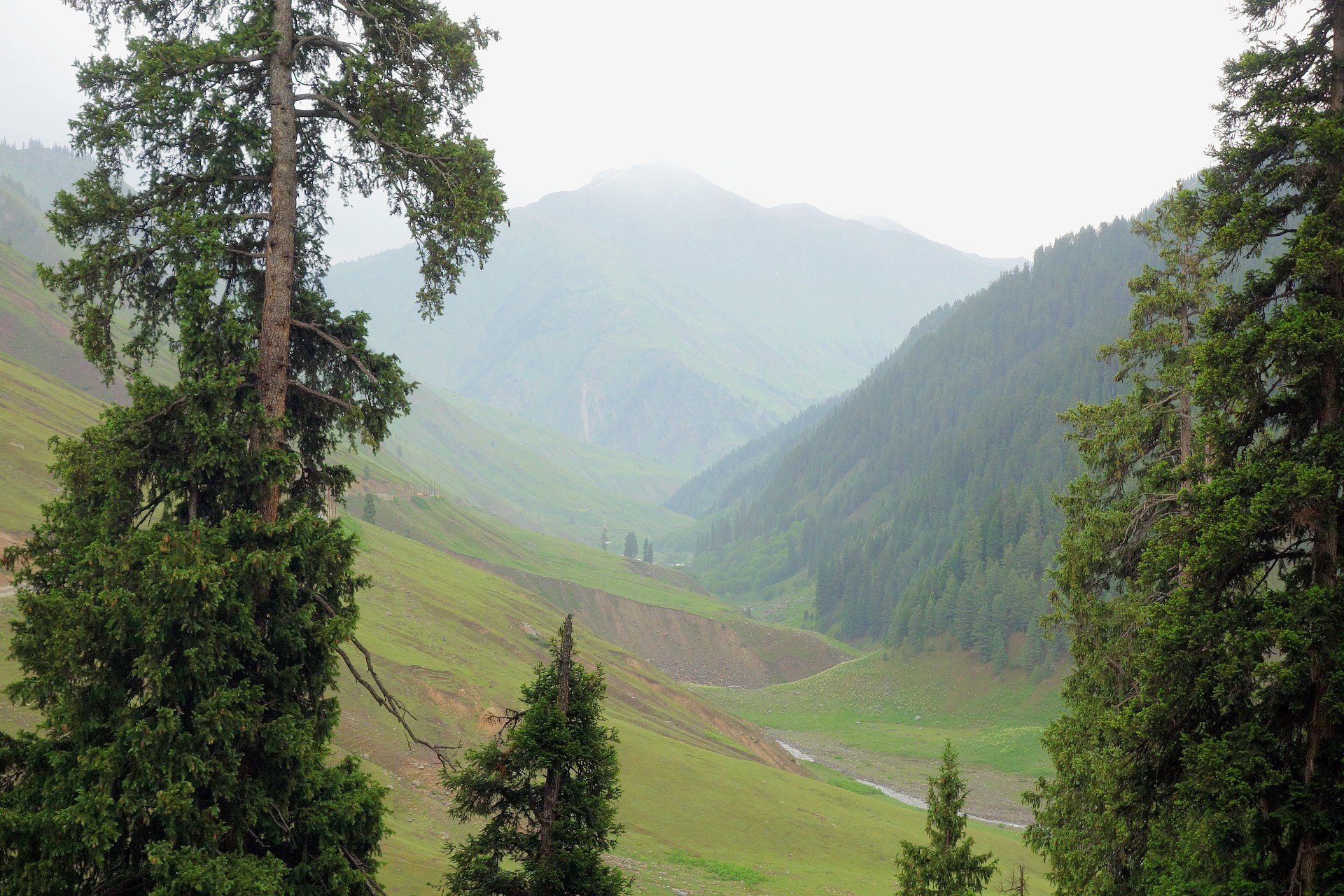 Getting Down to Gurez Valley