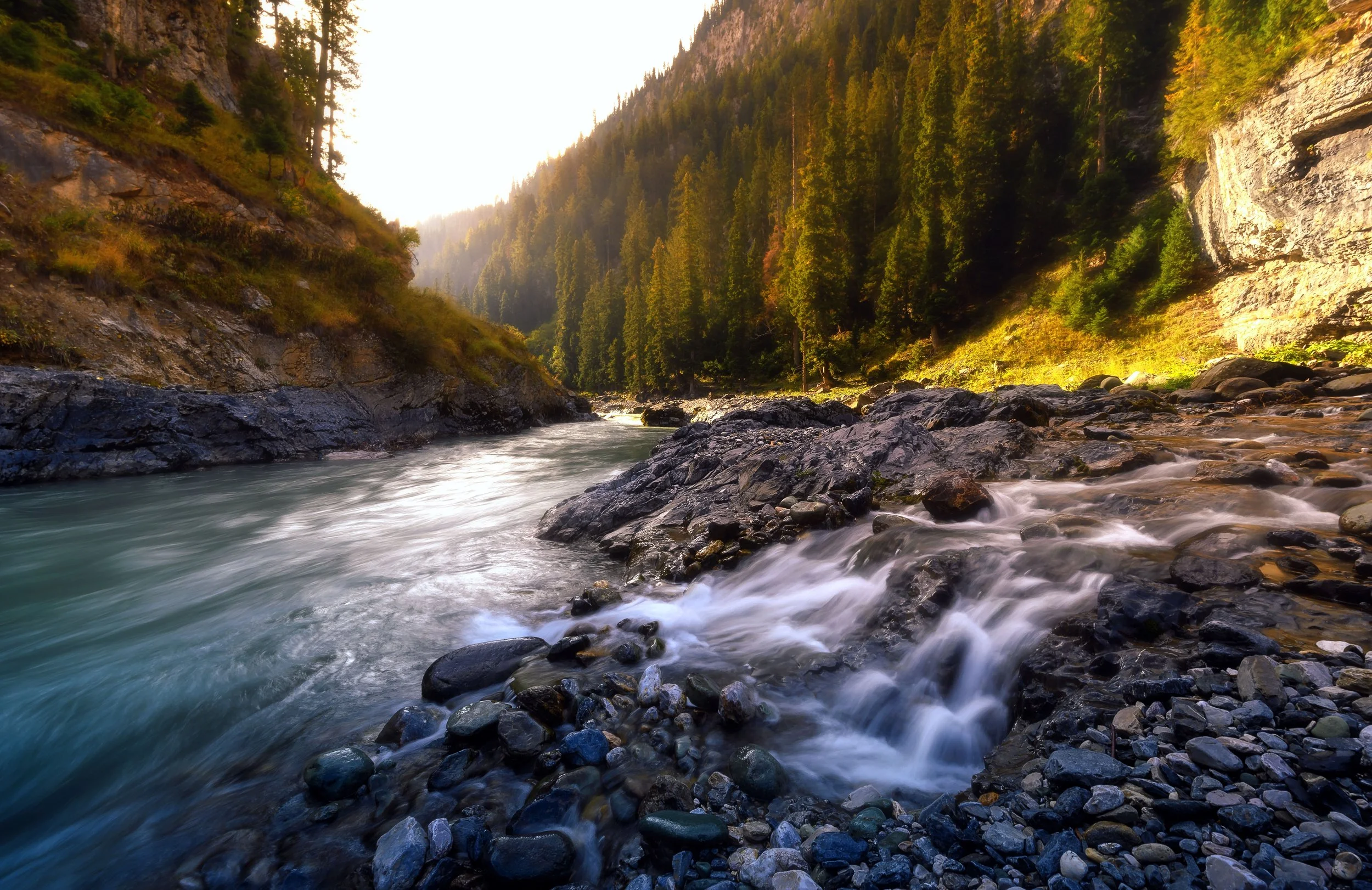 The Kishanganga River 