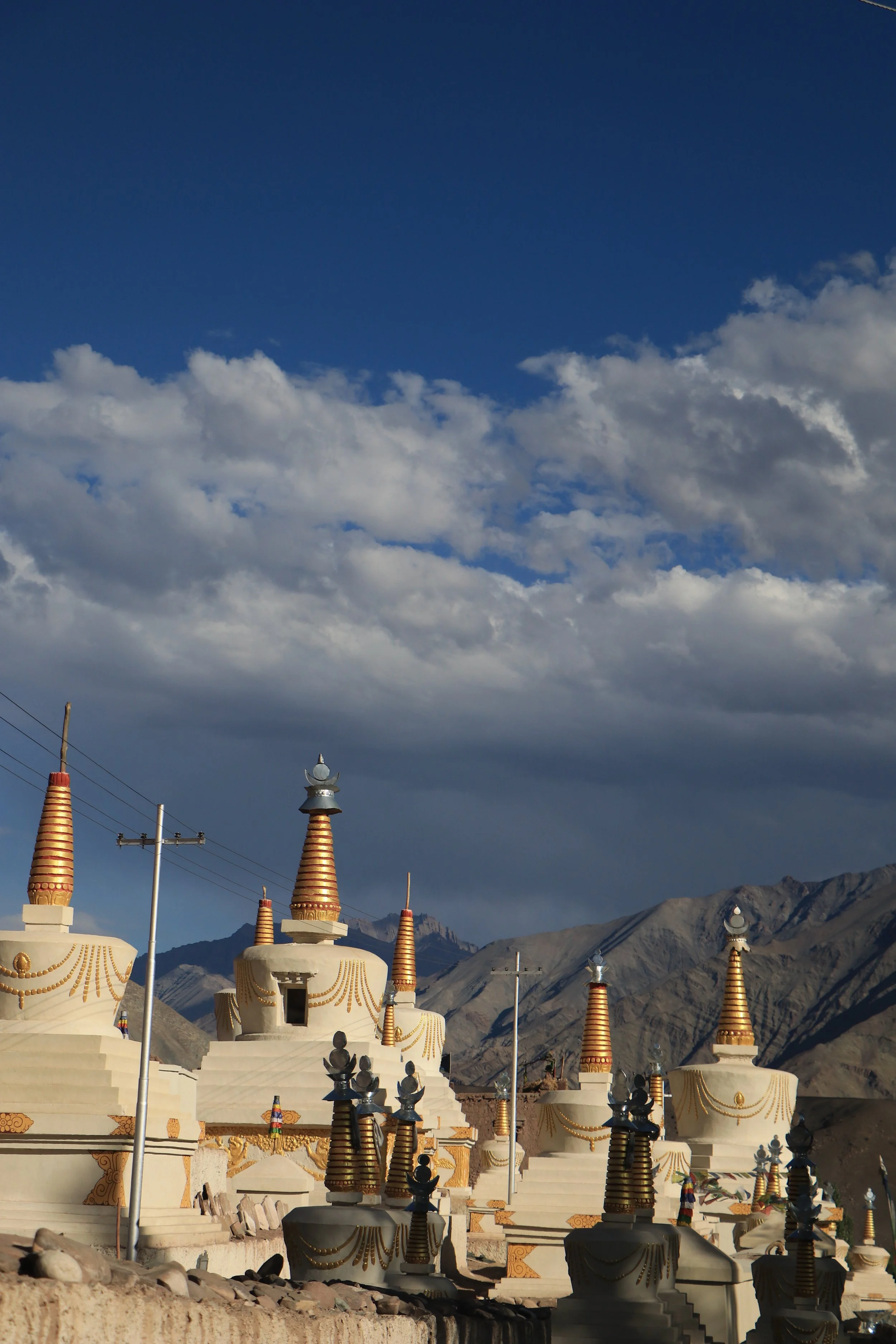 Basgo Homestay Ladakh