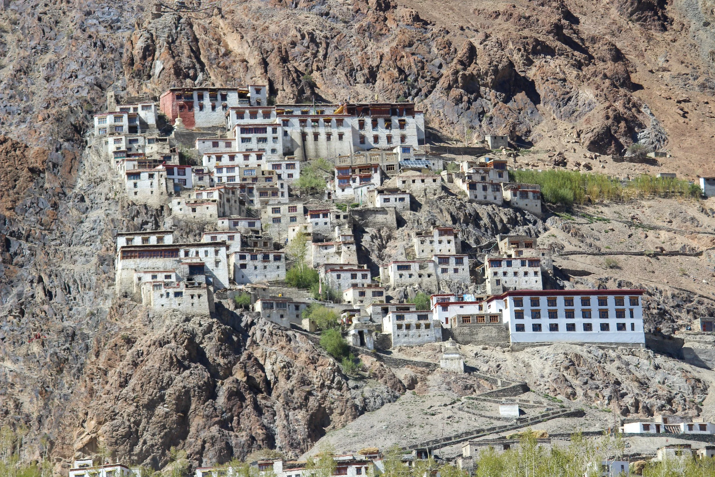 Karsha Village Homestay Zanskar Ladakh