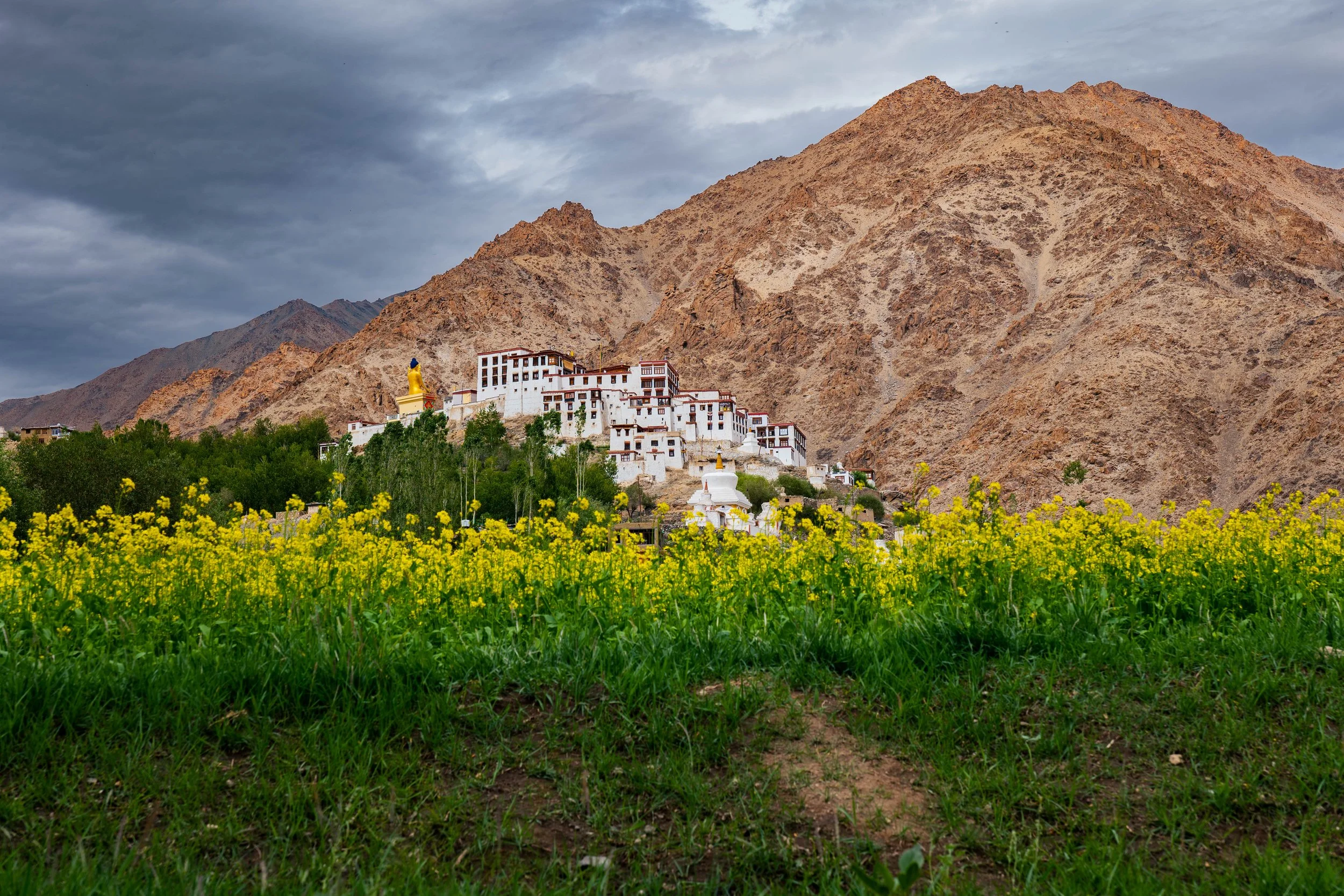 likir-homestay-ladakh-15.jpg