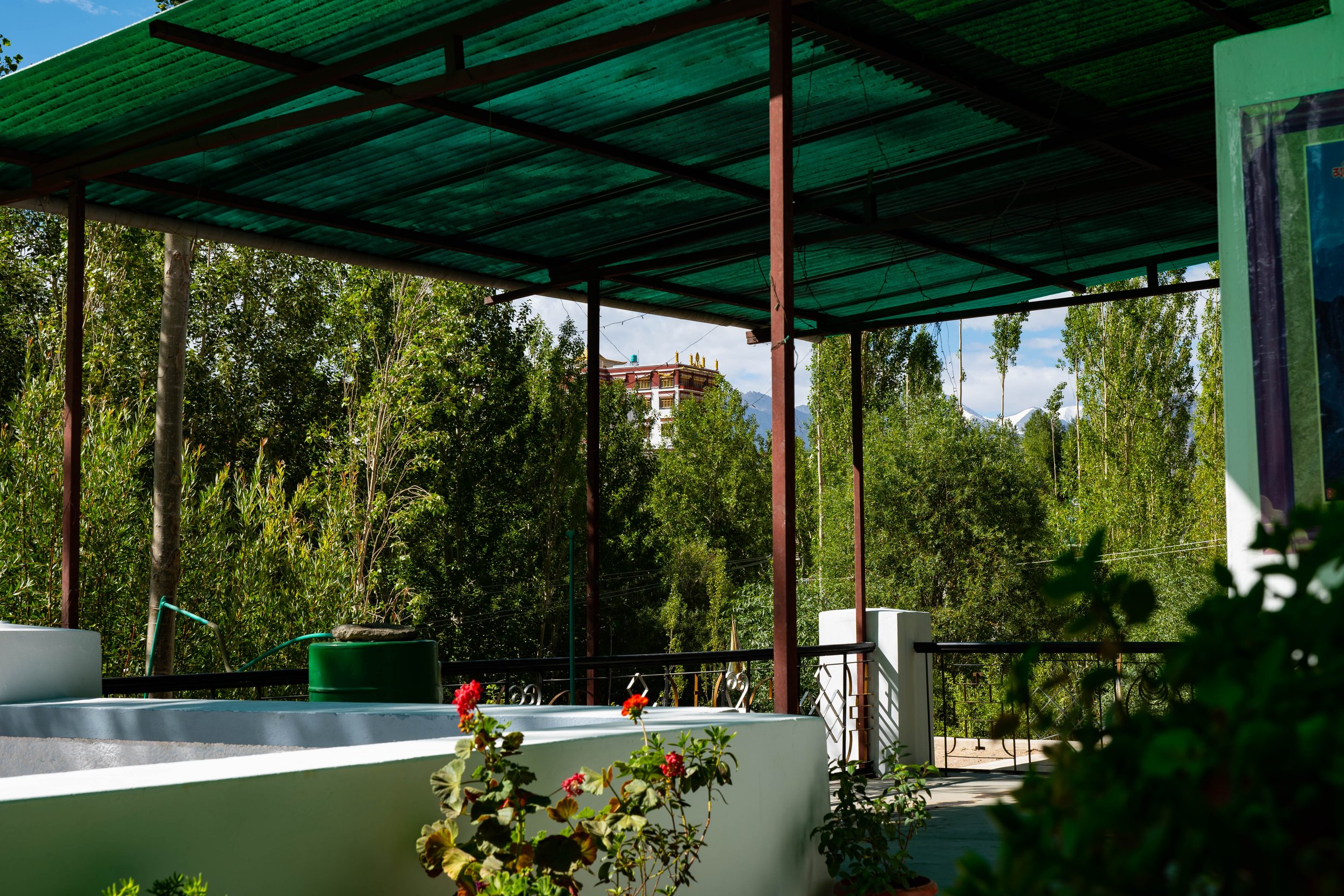 phyang-homestay-ladakh-5.jpg