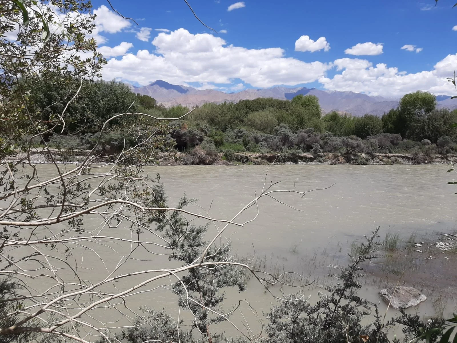 spituk-homestay-ladakh-15.jpeg
