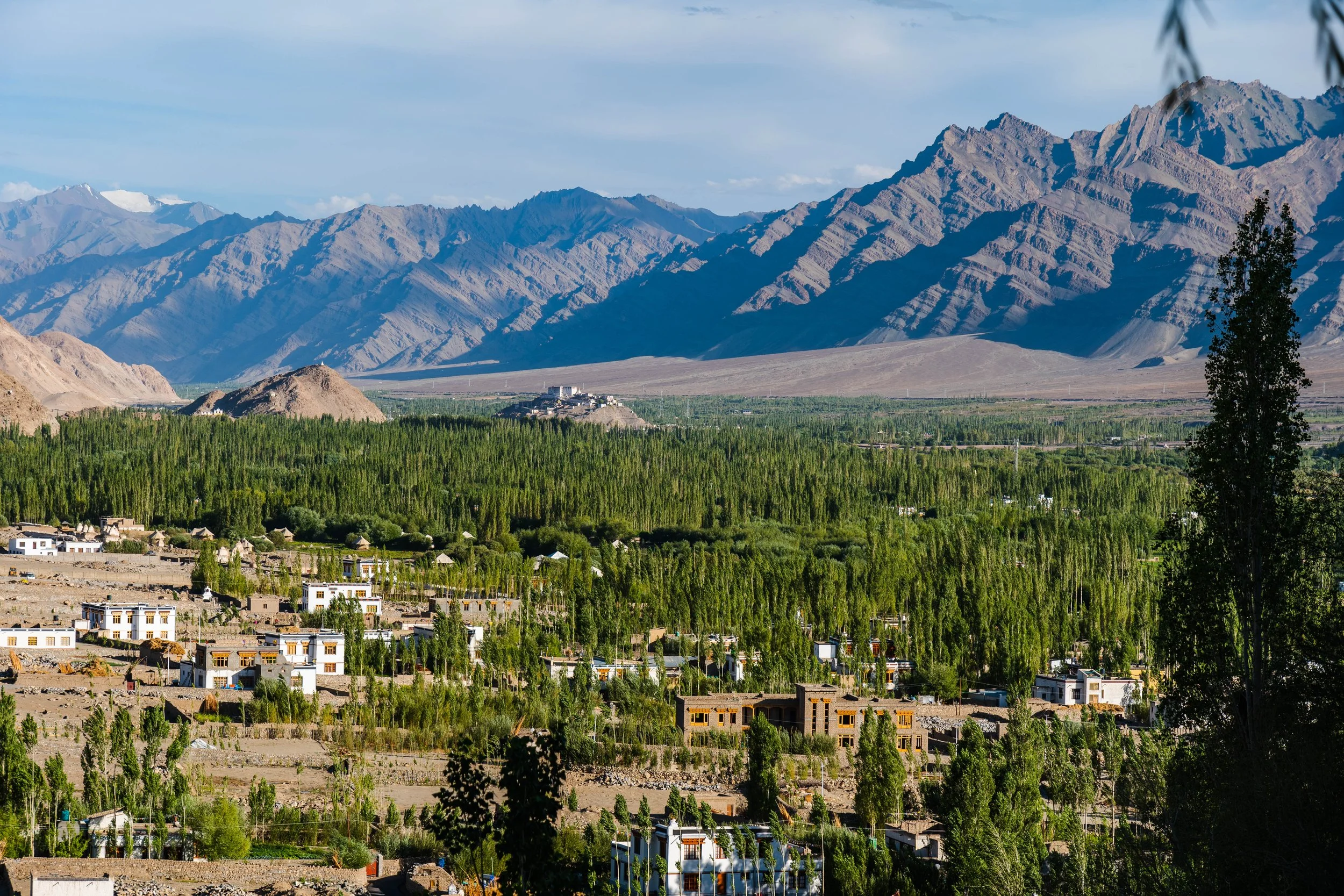 Thiksey-Homestay-Ladakh-2.jpg