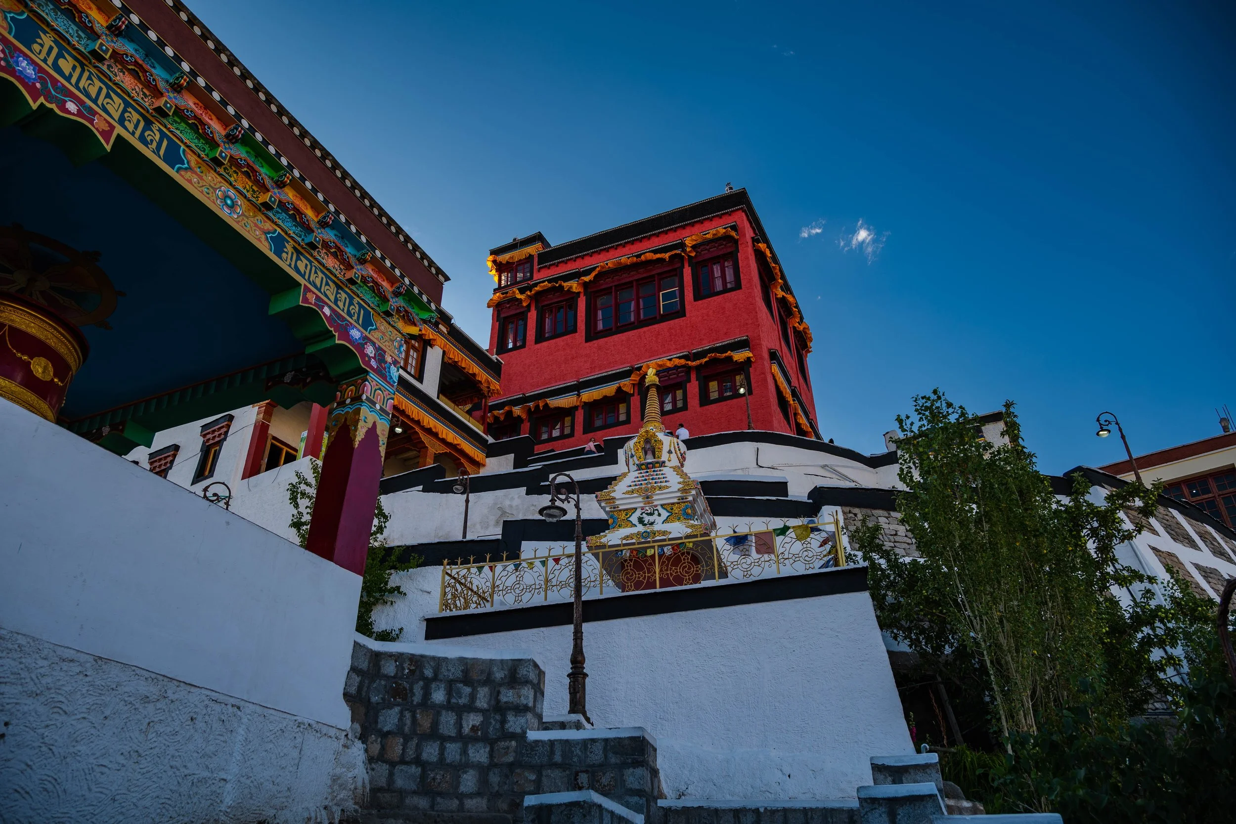 Thiksey-Homestay-Ladakh-3.jpg